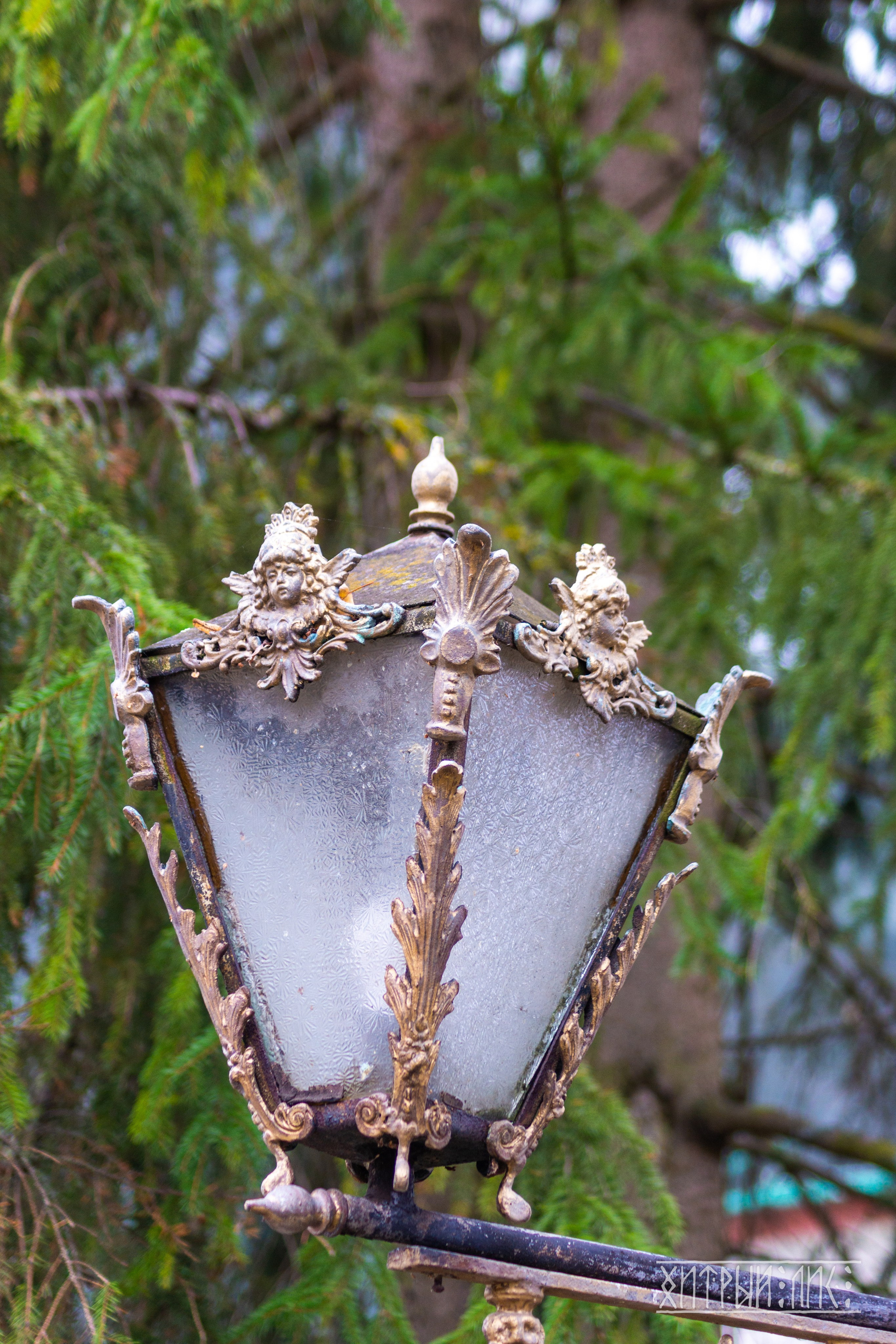 Изборск- Печоры-Псков-Новгород-Торжок. Фотограф-путешественник Самойлов Максим «Sly Fox»