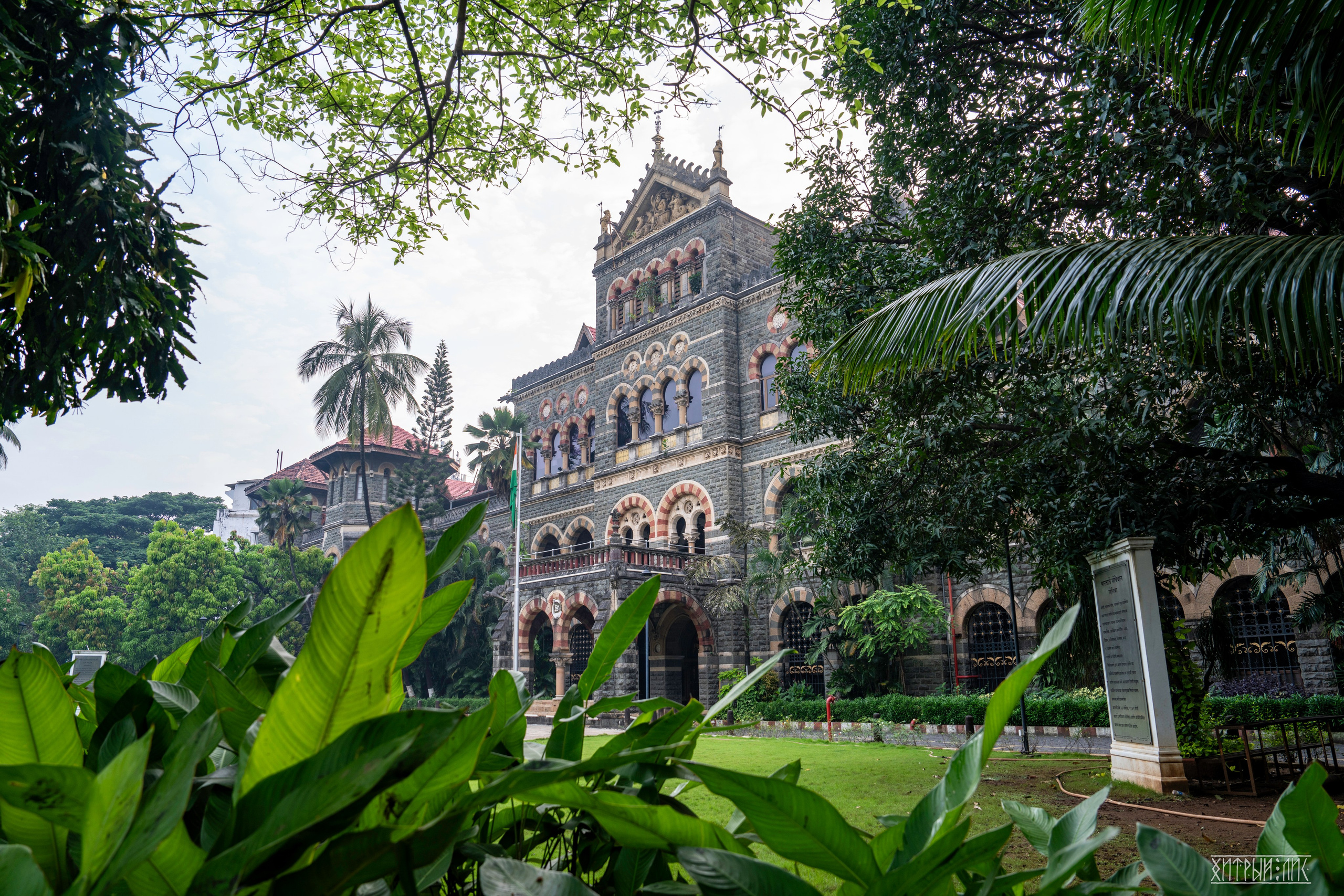 Гоа-Мумбаи. Фотограф-путешественник Самойлов Максим «Sly Fox»