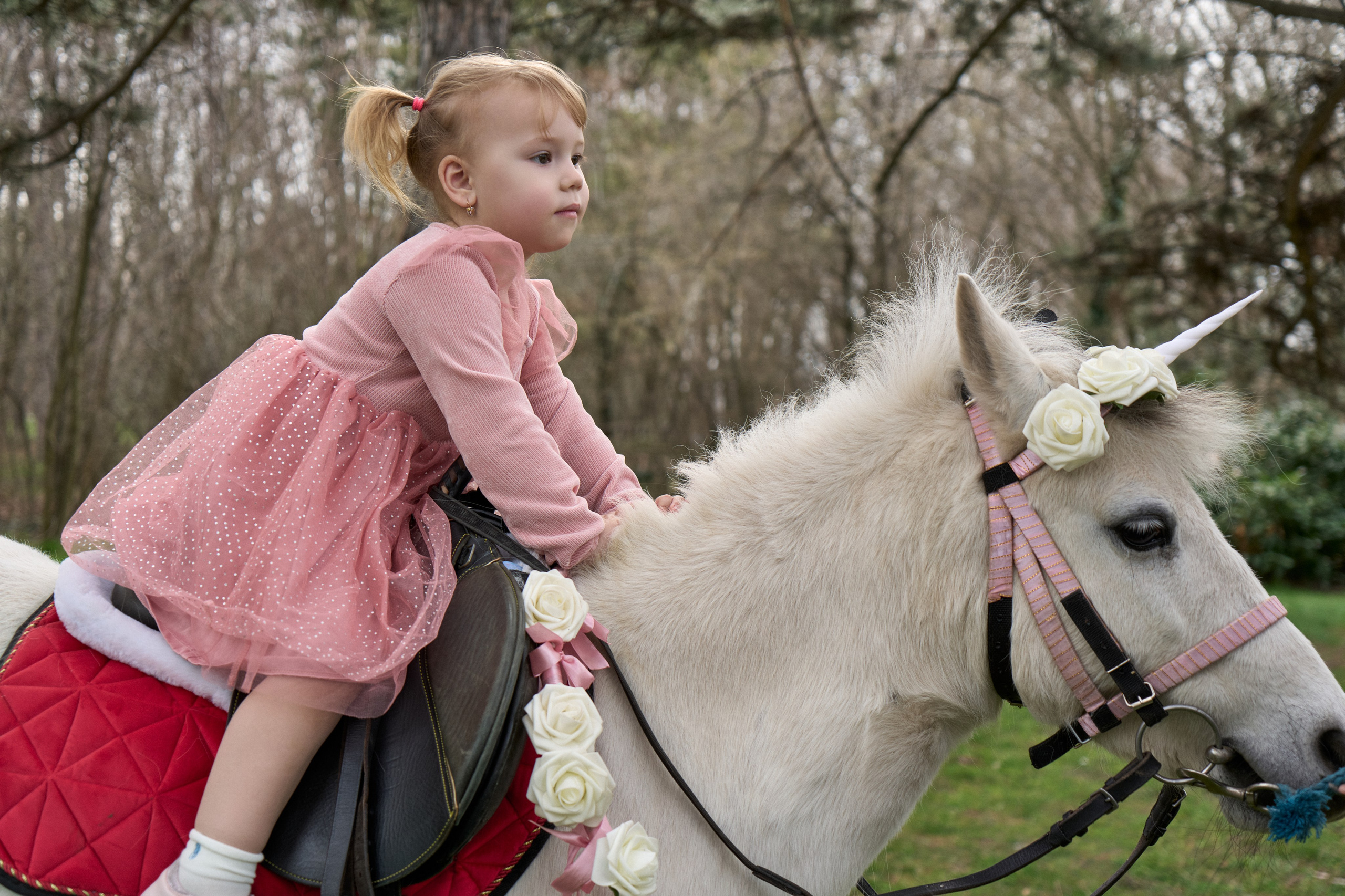 Злата. Фотограф в Краснодаре Татьяна Вижевитова