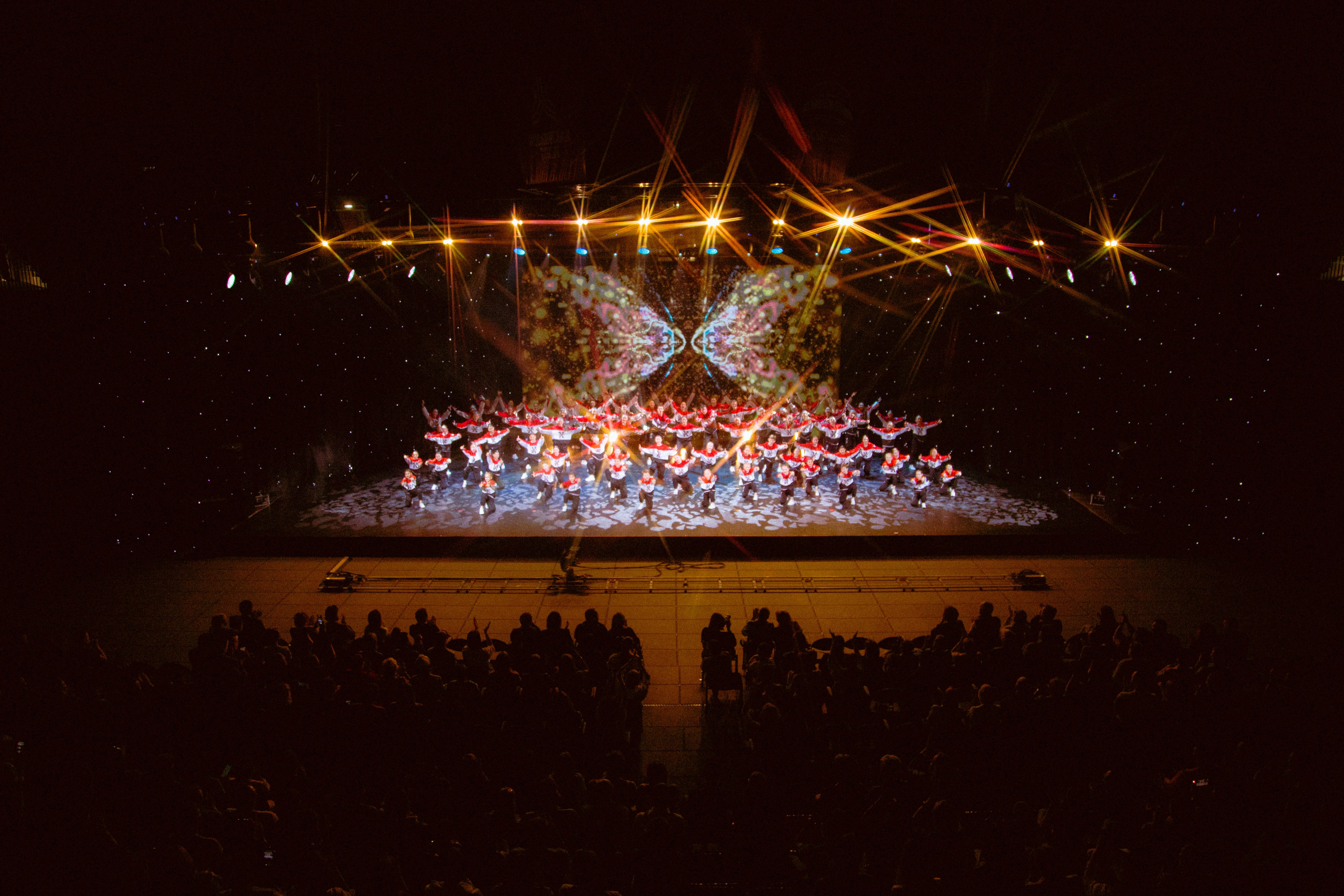 Отчётные концерты TODES. Юлия Кулиш // Pocahontas