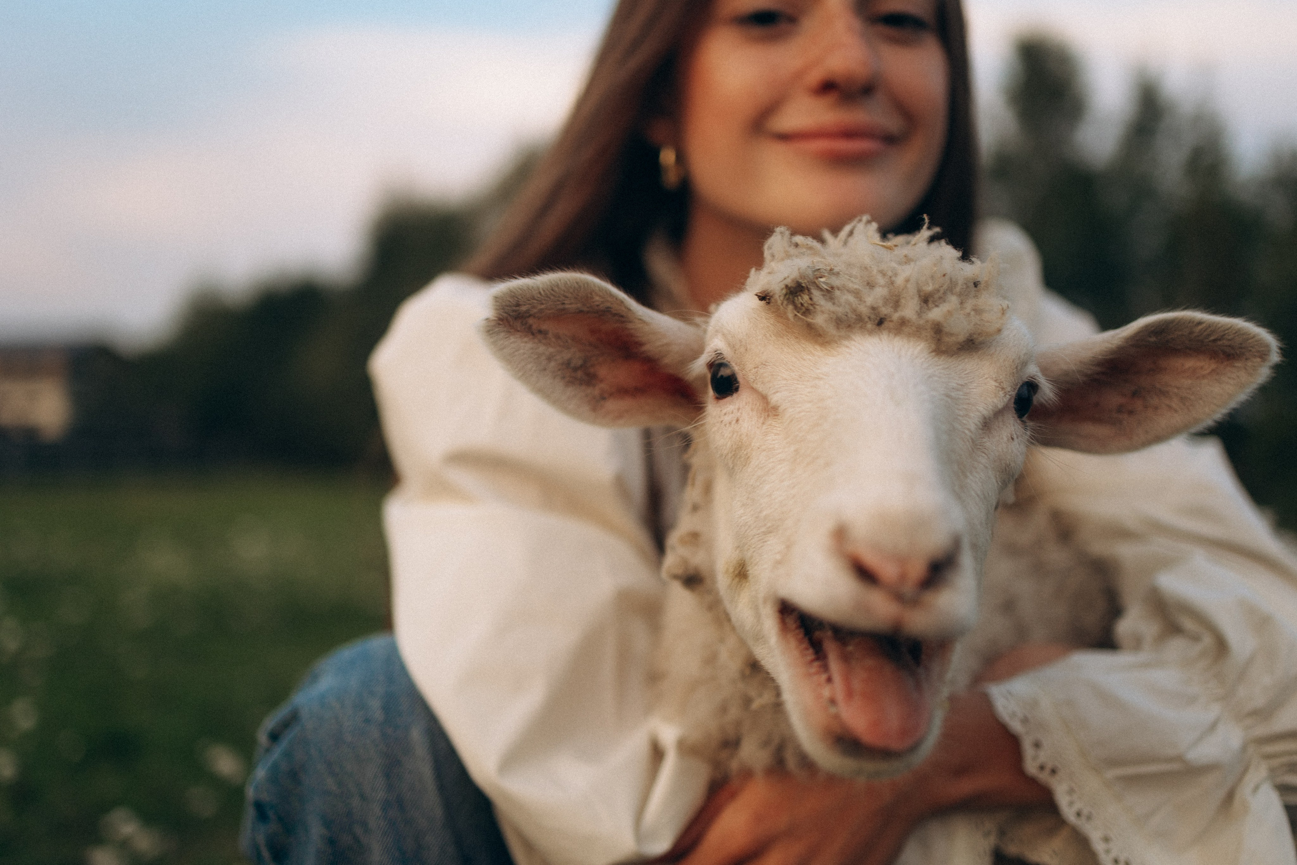 Семейная. Фотораф — анималист Мария Шистка