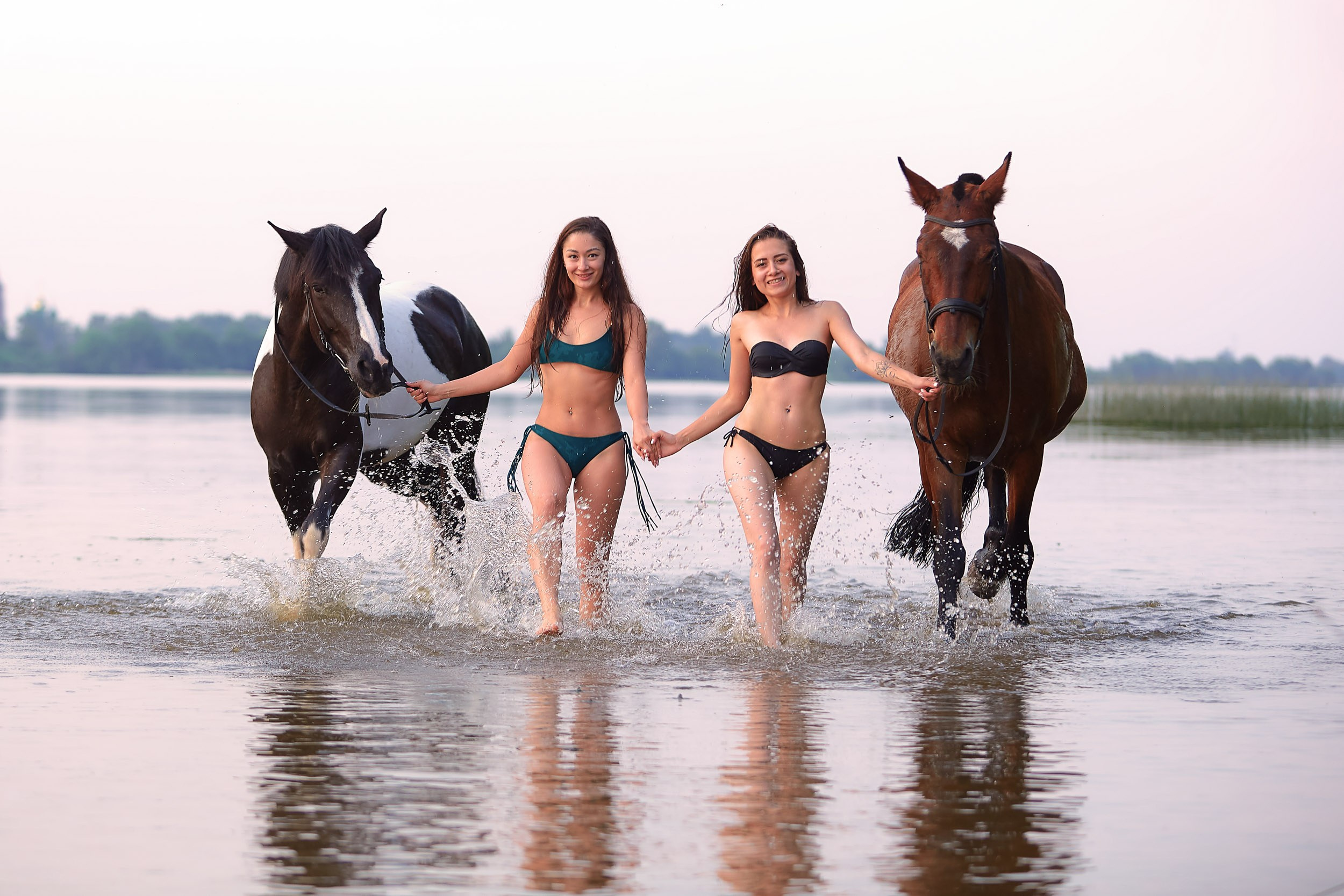 Фотосессия с лошадьми, Фотограф Михаил Семенов г. Ярославль