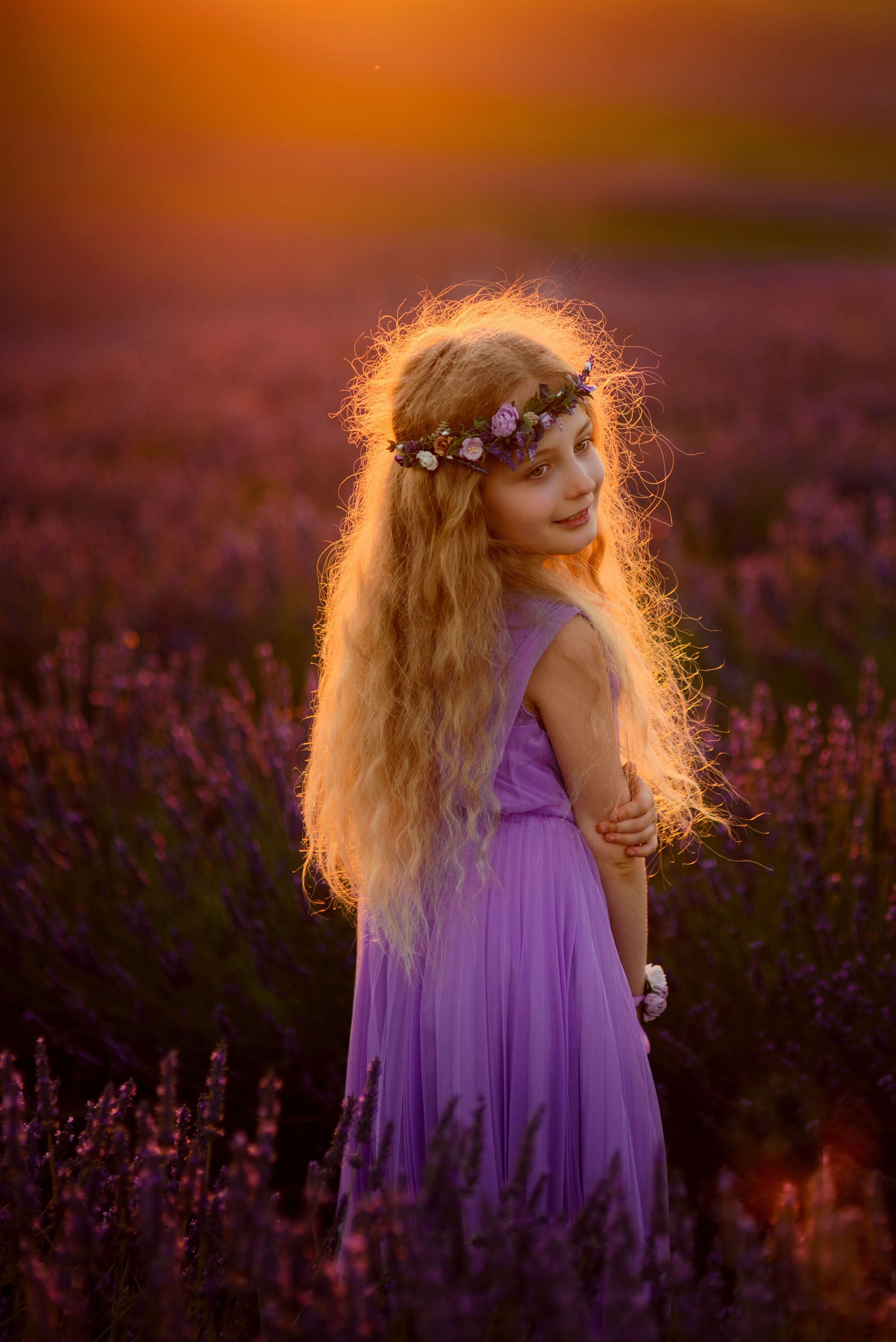 Lavender. Photographer in Provence Julia Lipiainen