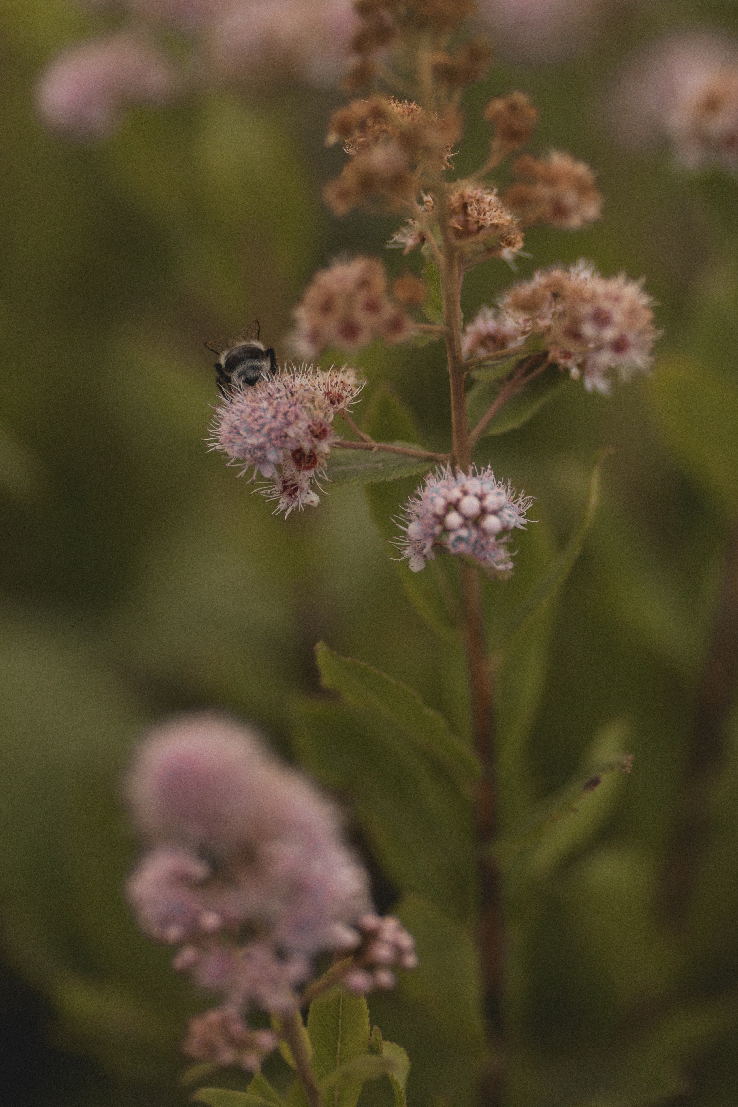 Место силы. Семейный и свадебный фотограф Лилия Матонина | Ангарск, Иркутск, Усолье-Сибирское, Байкал (Листвянка, Ольхон), Иркутская область