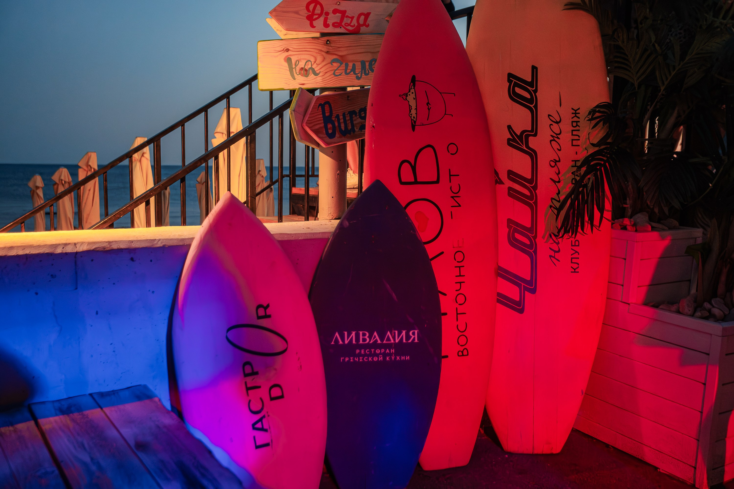 ZIMCERLA BIRTHDAY PARTY — HUNGRY BIRD_Симеиз_Крым_19.07.2025. Аминов Руслан | Фотограф