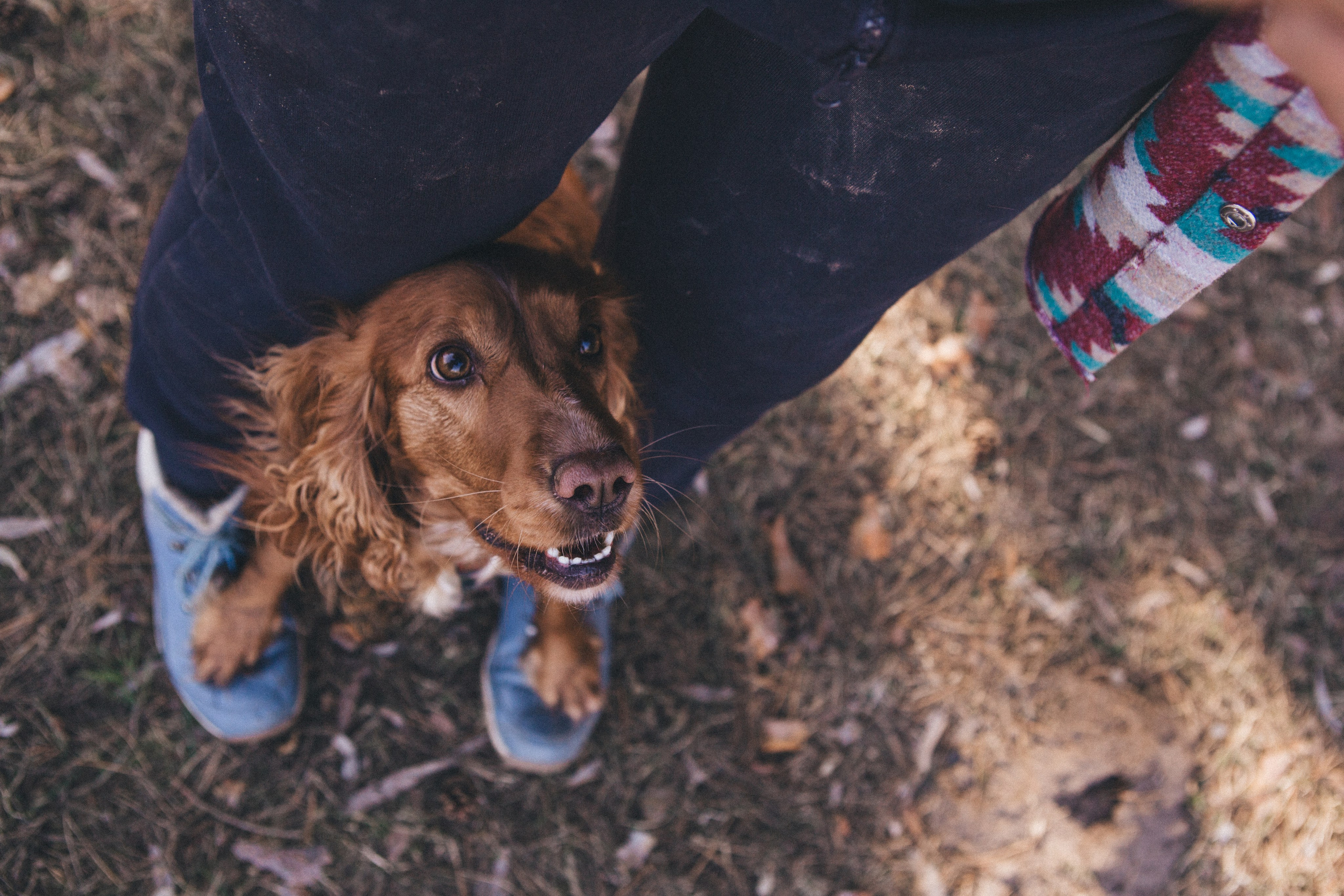Julia & Jessie. Portrait, family and pet photographer in Cyprus, Ksenia Bourdelle