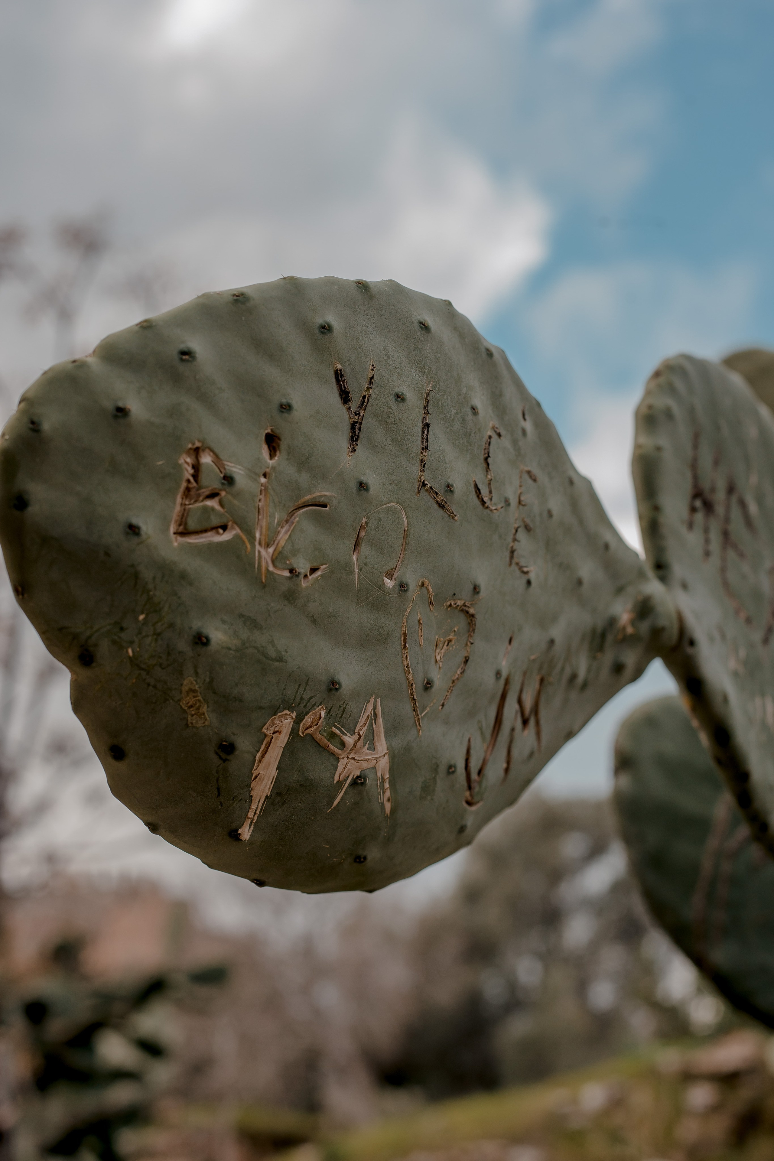 Turkey, Alanya. Art Photographer