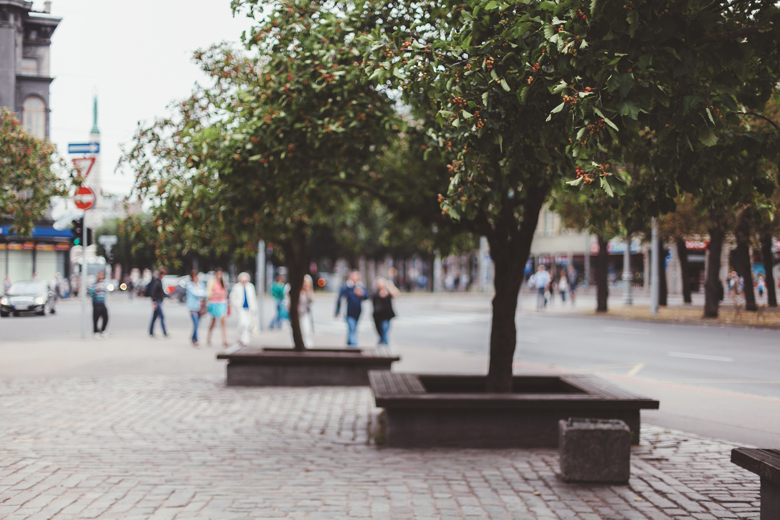 Латвия. Аня Степанова