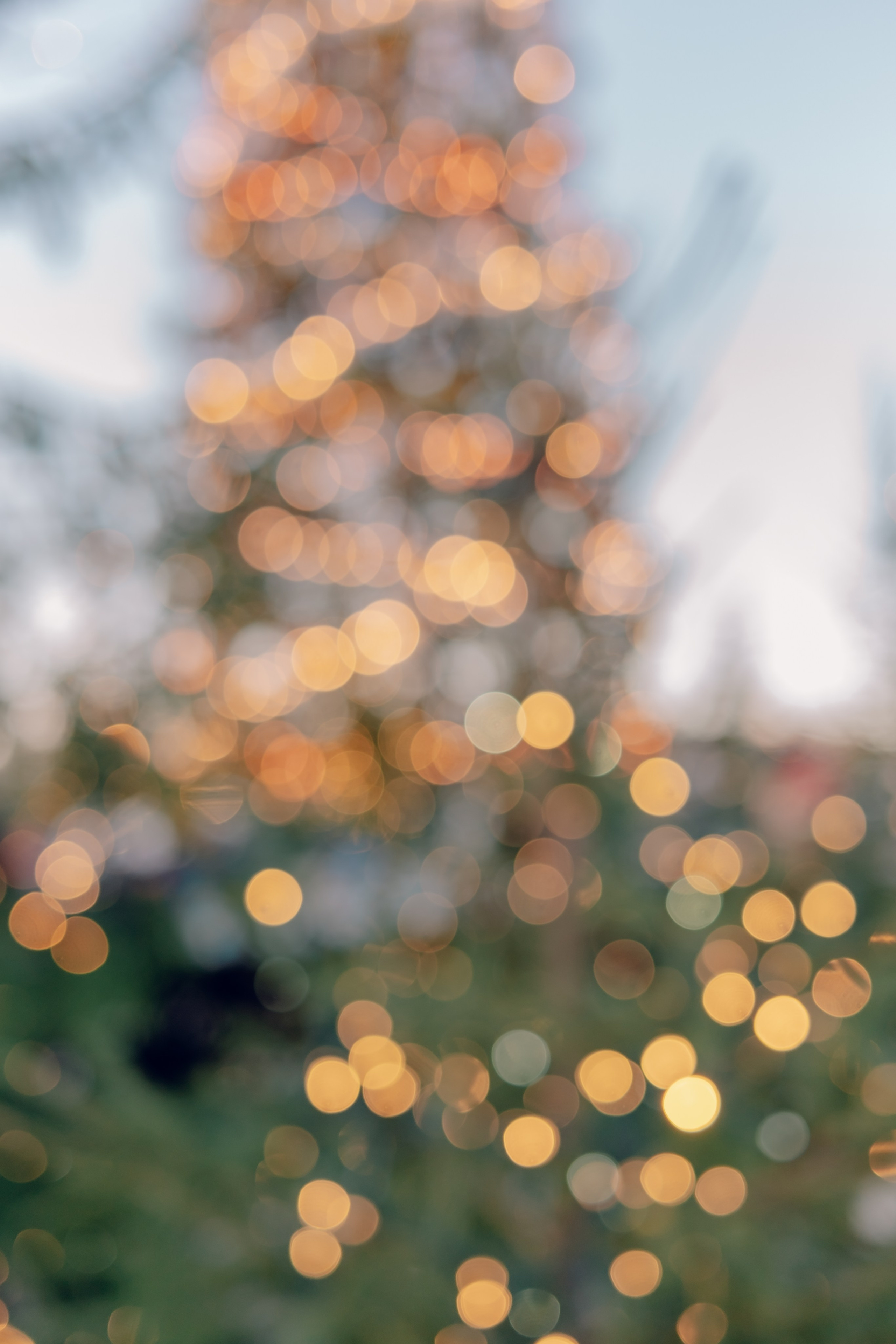 Санкт-Петербург. Аня Степанова