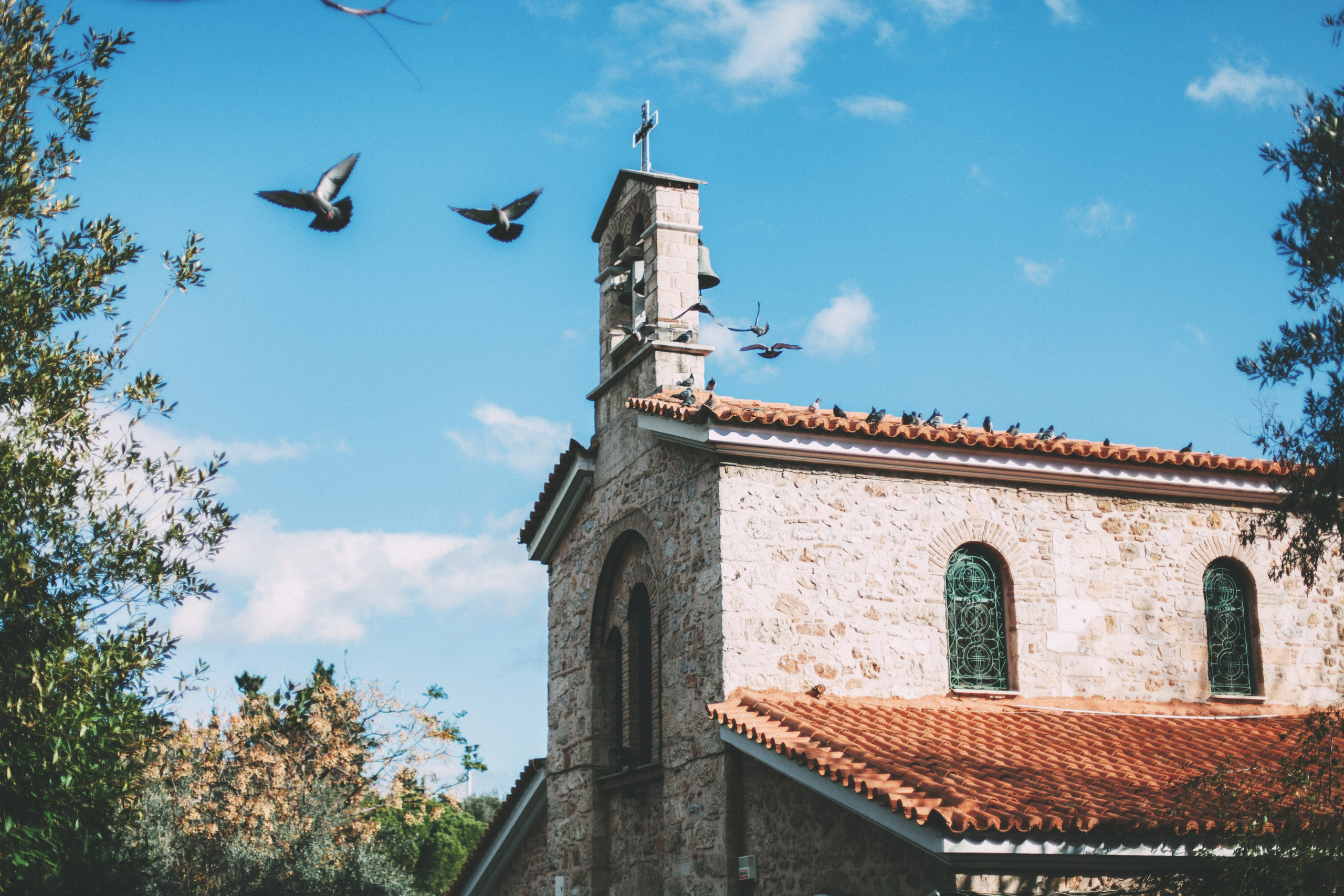 Афины. Аня Степанова