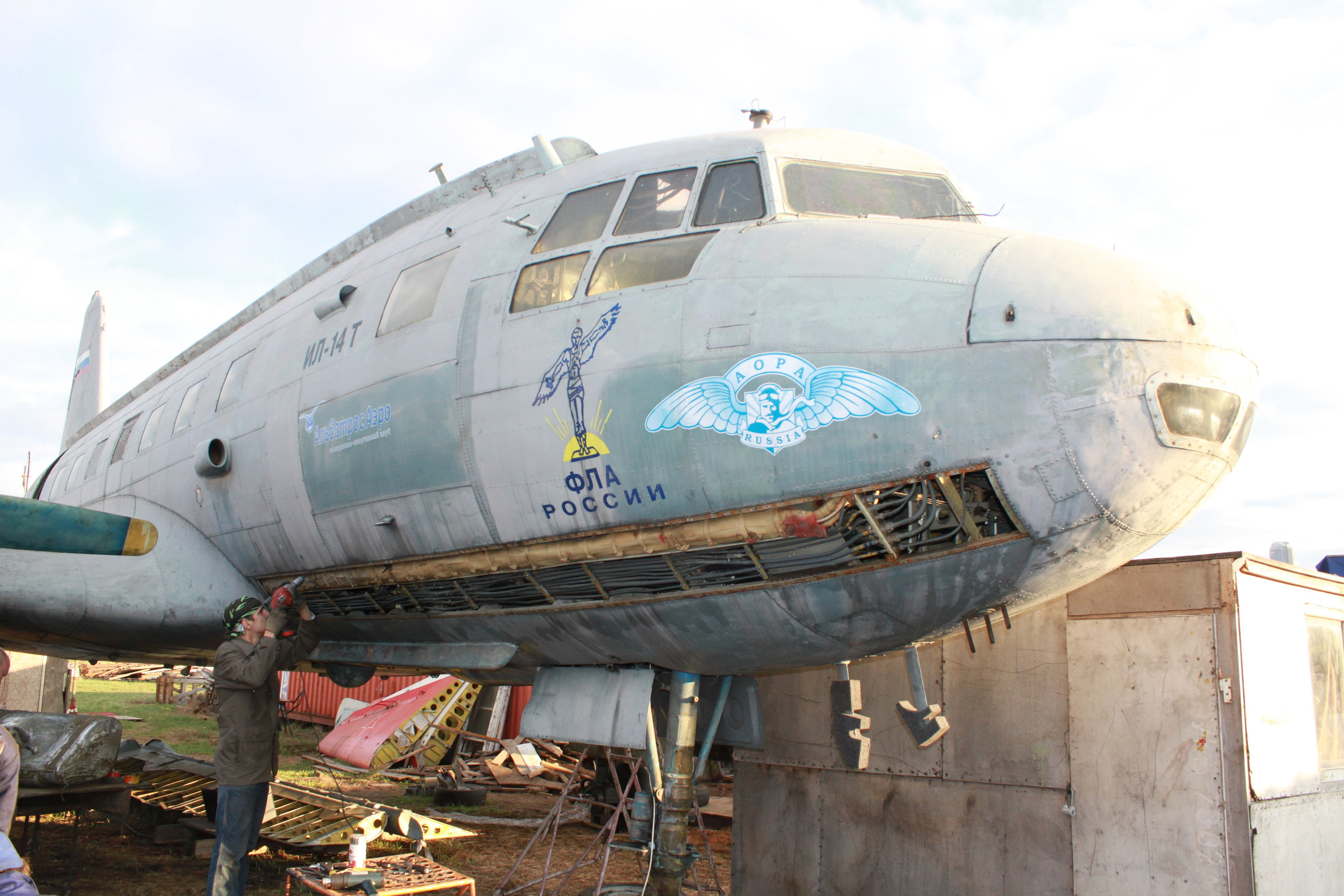 Ил-14Т «Голубая Мечта» работы в Тушино (2011 г.). Фотоальбом показывающий увлекательный мир авиации и мир медведей Андрея Иванова