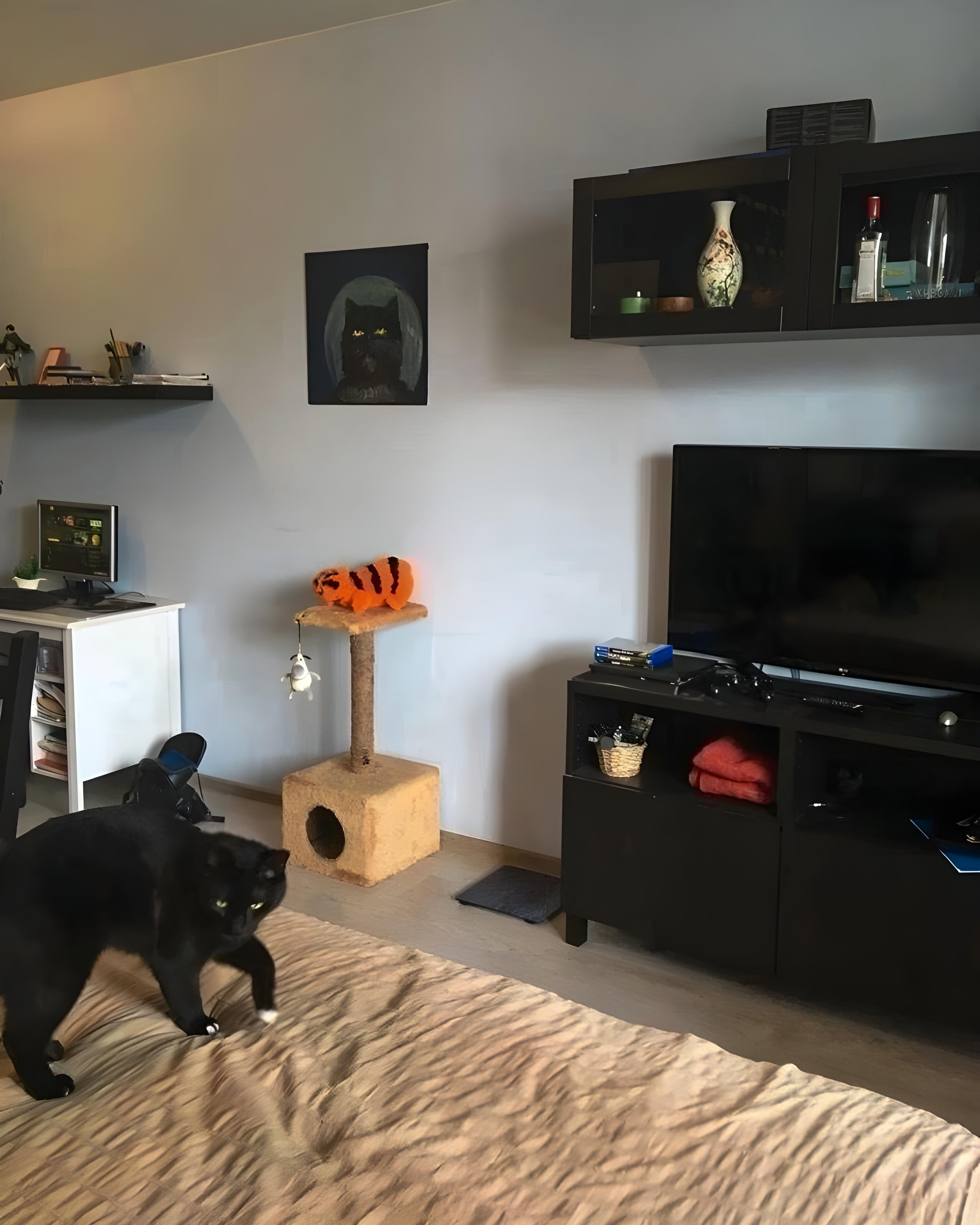 Выставка. Репортажный и портретный фотограф, Влад Хафизов, Москва