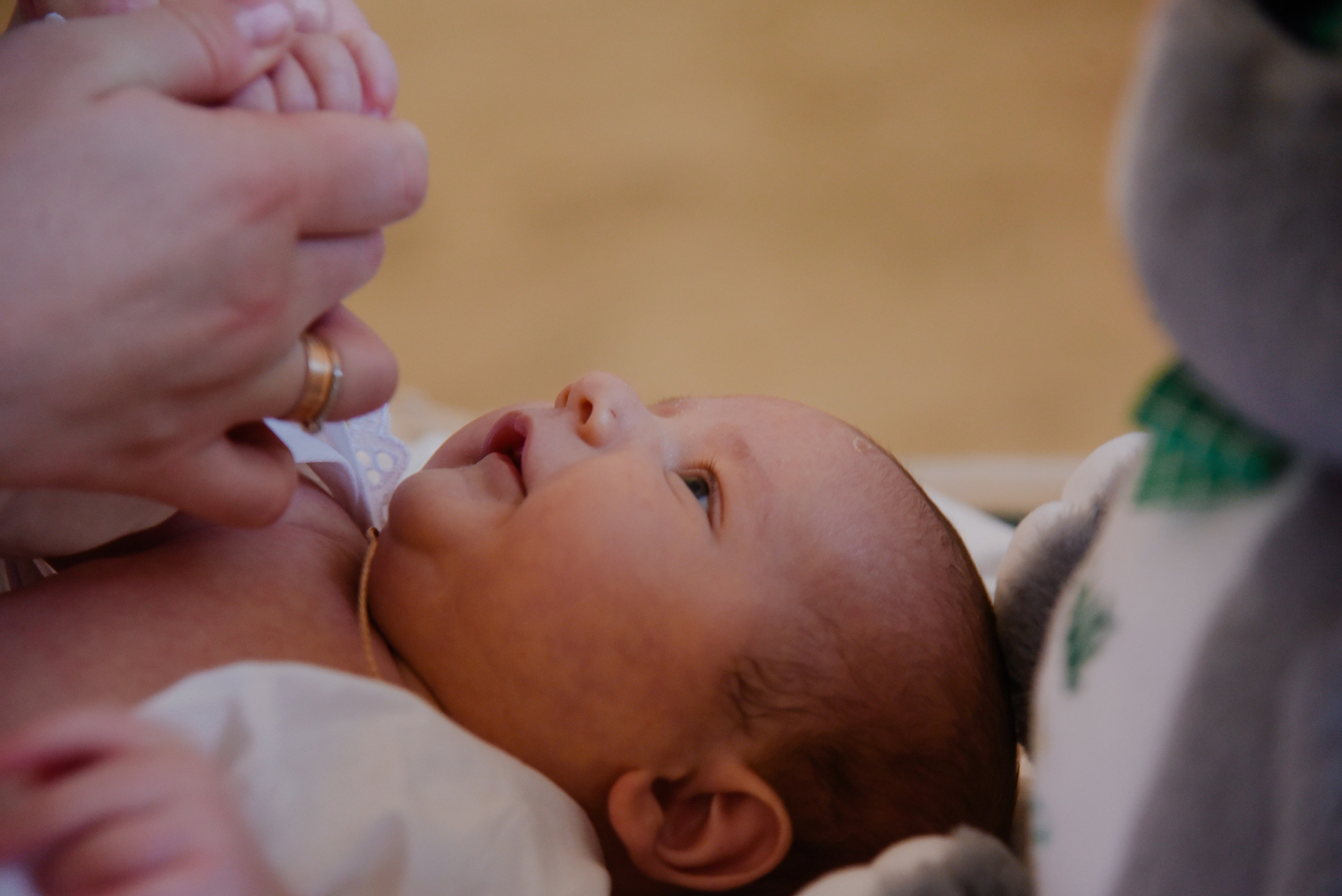 Крещение Афанасий. Фотограф Лола Волна, город Москва