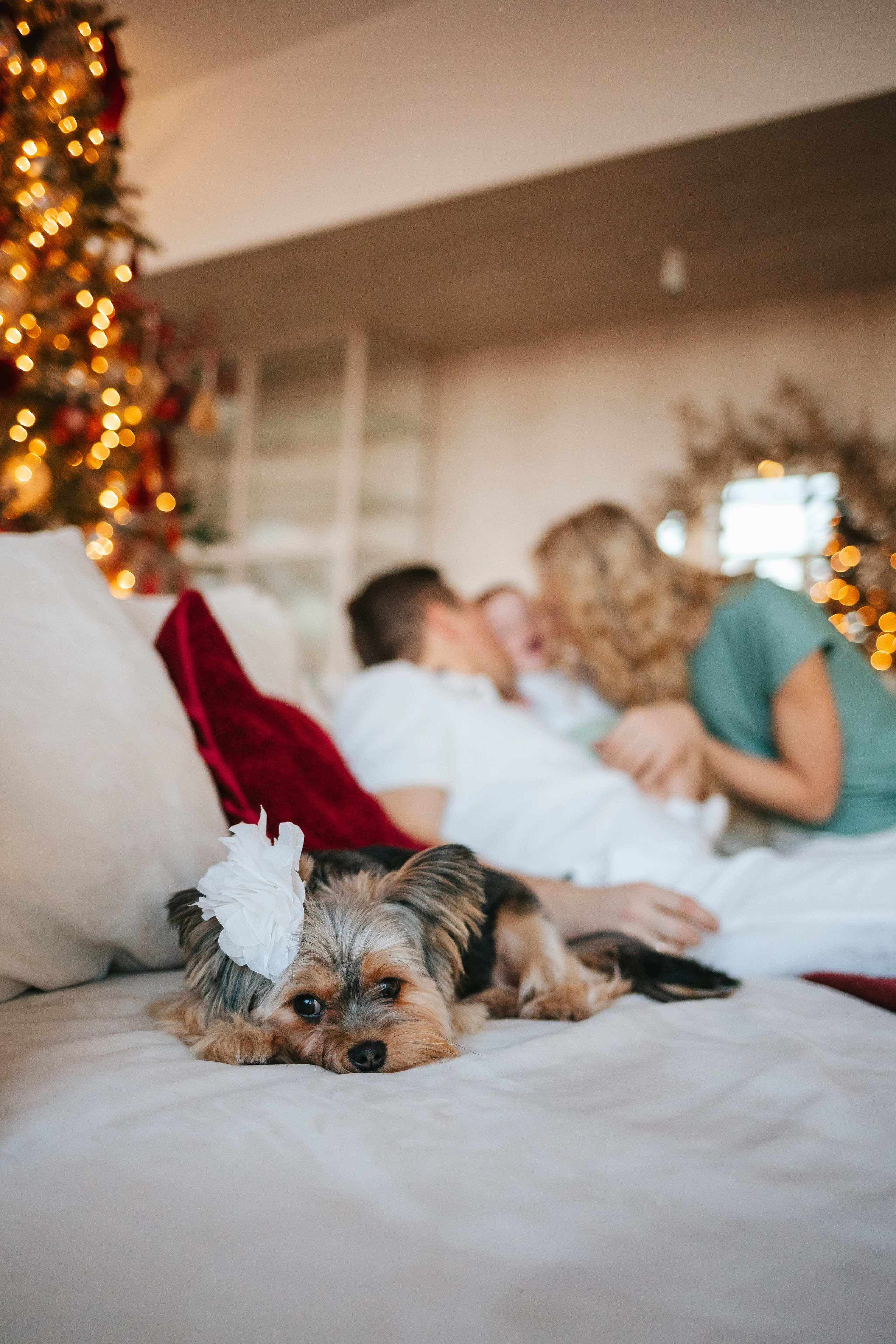 Артур, Оля и Серёжа. Семейный lifestyle фотограф в Санкт-Петербурге Людмила Пахомова