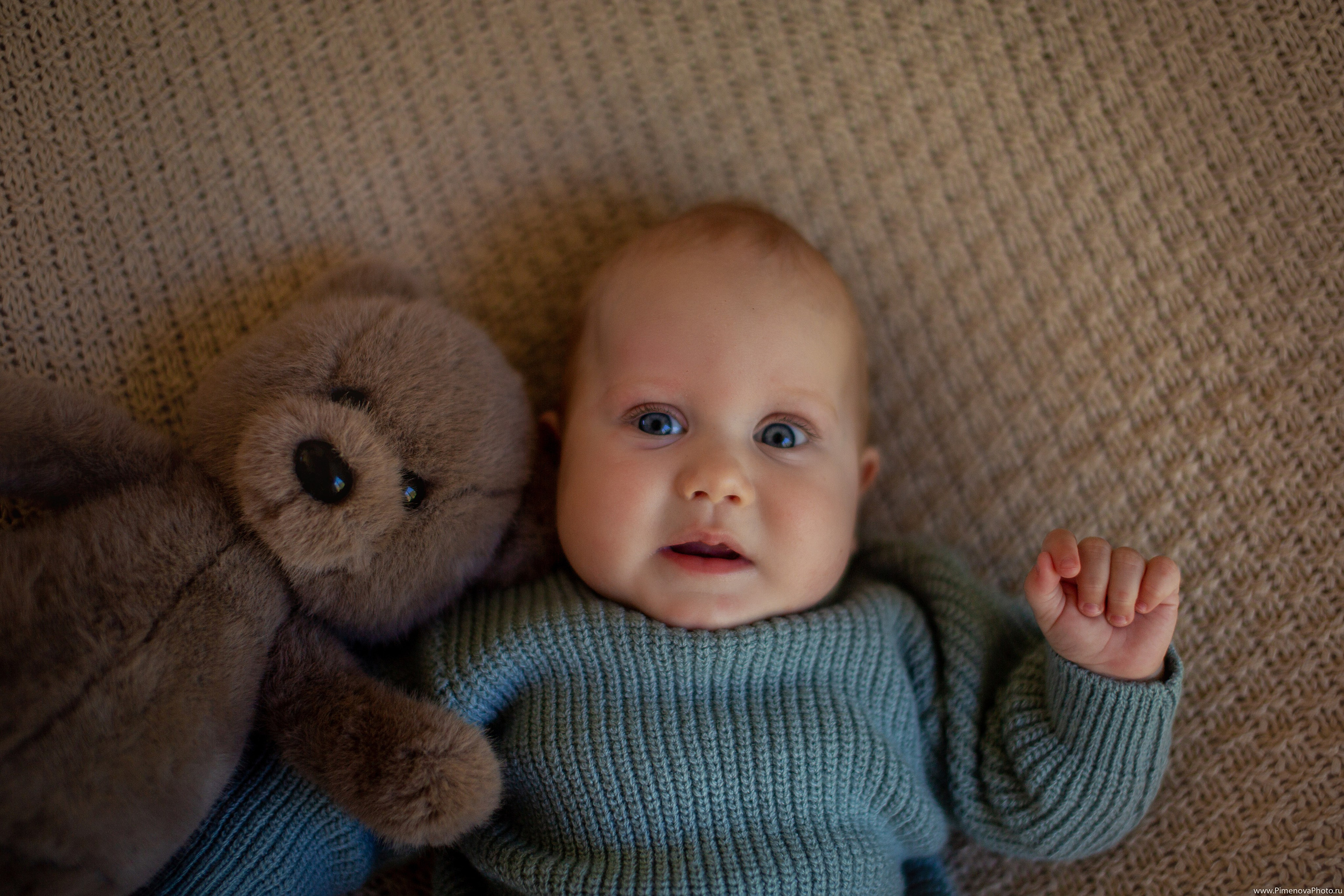 LifestyleBaby: Артем, 8 месяцев. Семейный и детский фотограф в Петрозаводске