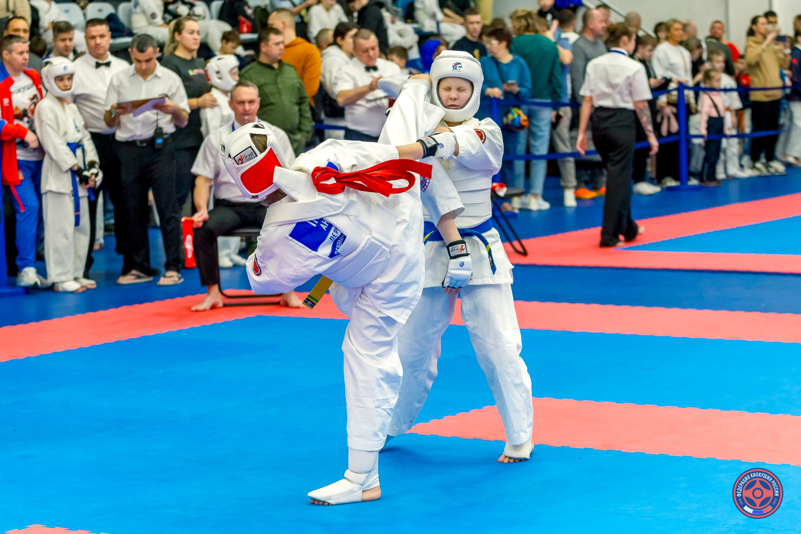 Международный турнир по киокушин «Открытый кубок Seiken». Репортажная съемка в Москве и области. Анималистика