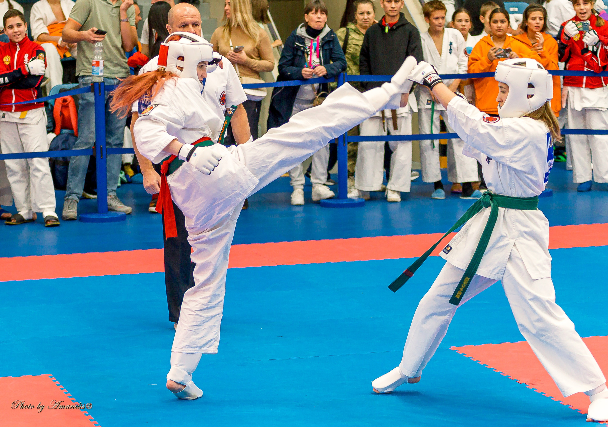 Чемпионат по Киокушинкай Центрального Федерального округа. Репортажная съемка в Москве и области. Анималистика