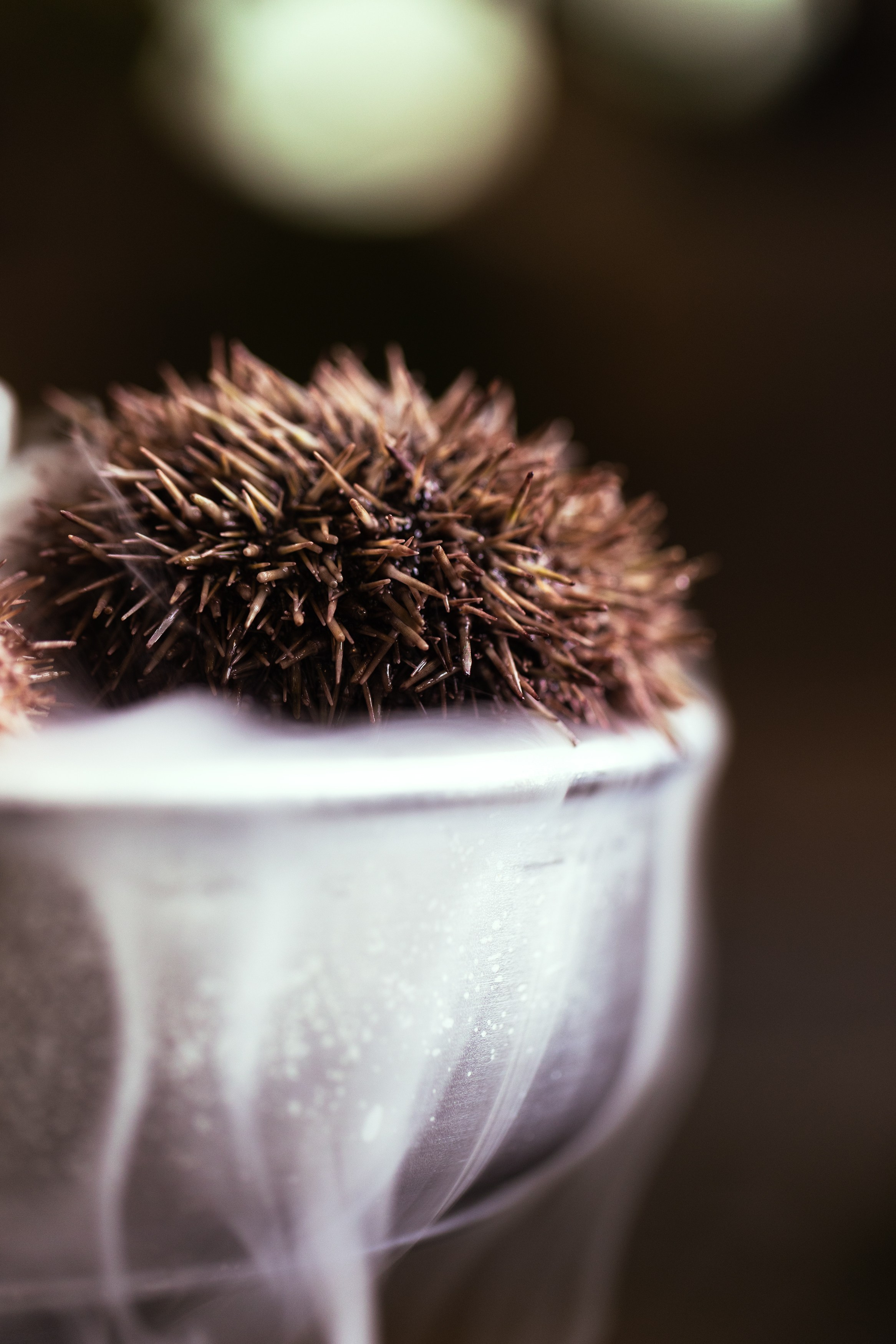 РЕСТОРАНЫ. Контент фотограф в Москве Ник Фрост