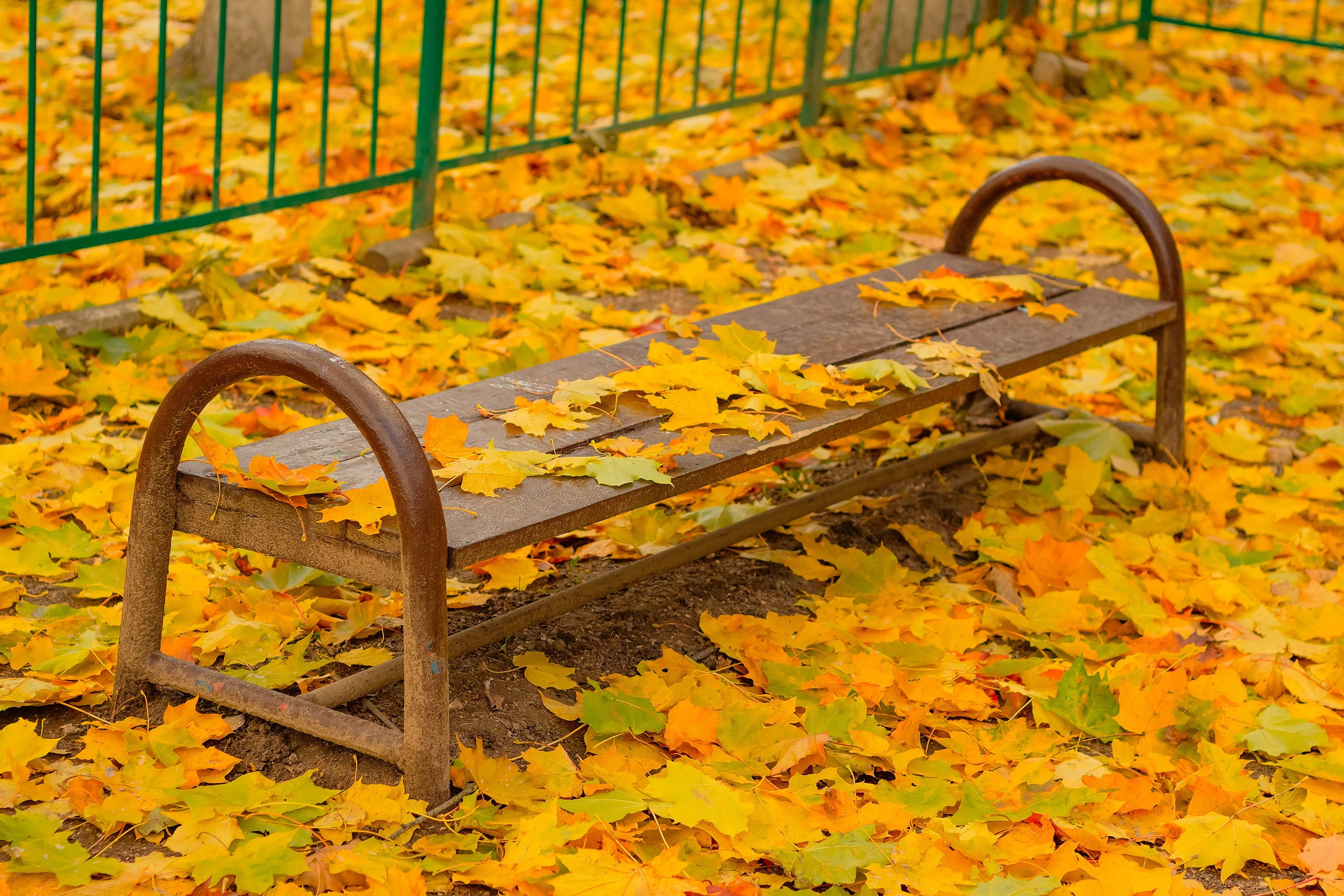 Свет и Цвет. Аmat Victoria Сuram