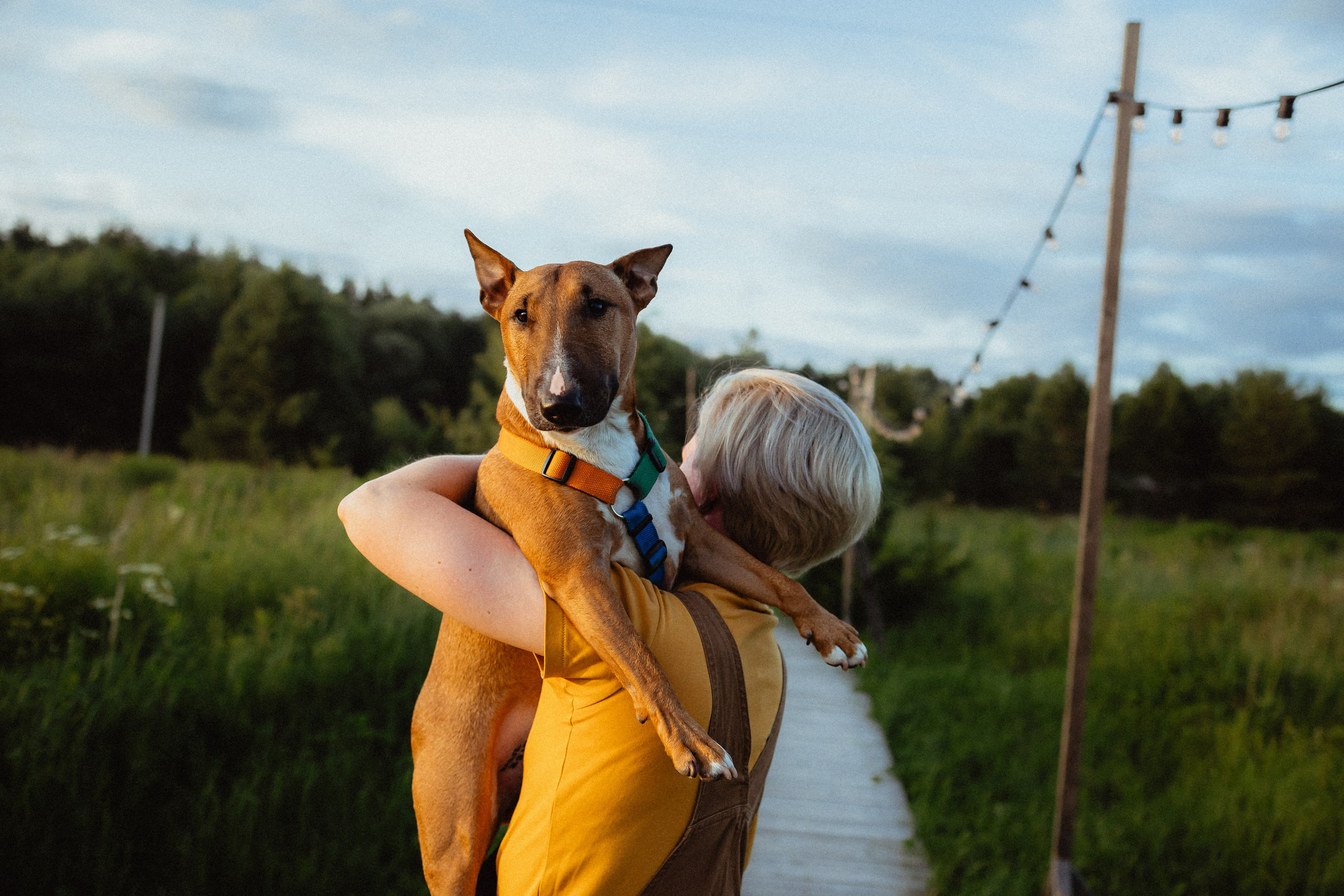 Выездной дог-тренинг от школы «Шерсть имею»