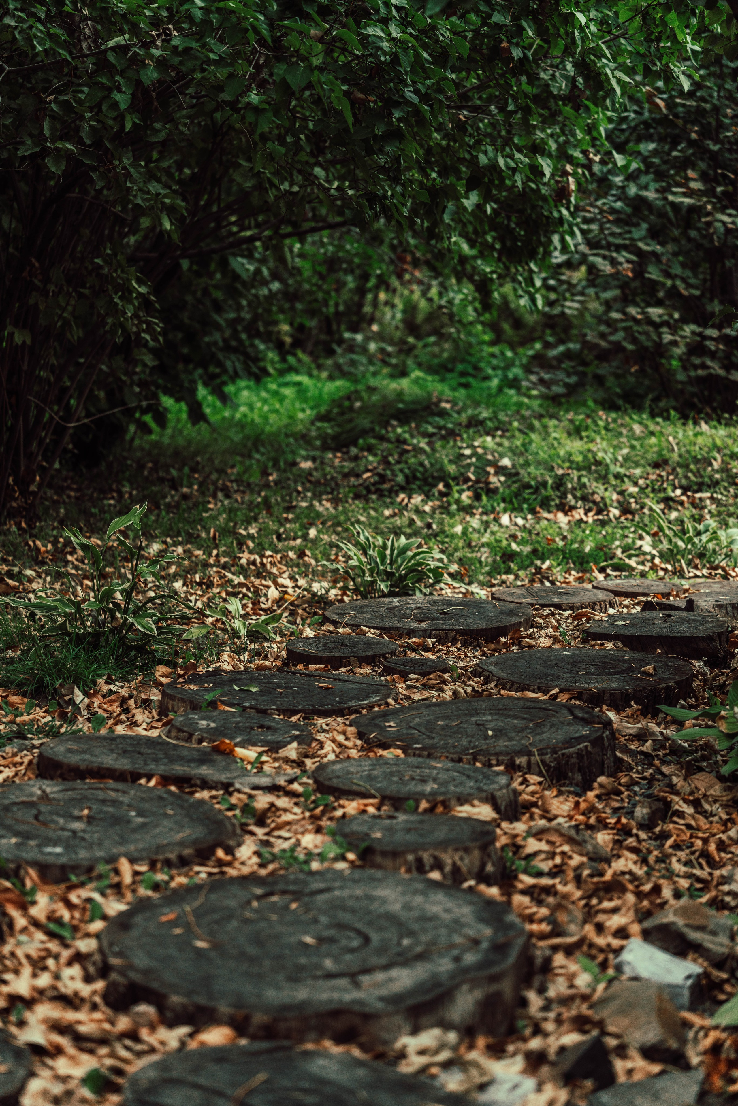 Усть-Каменогорск, Сентябрь 2024