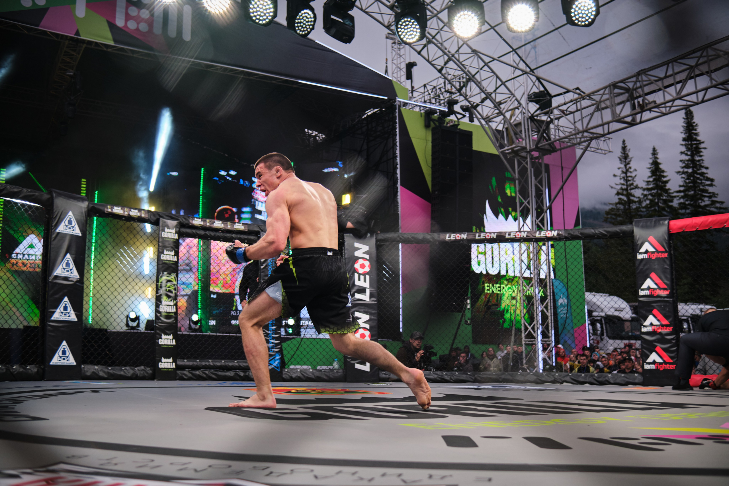 ММА на ПРО ГЕШ. Свадебный и семейный фотограф в Новокузнецке Иван Иванов