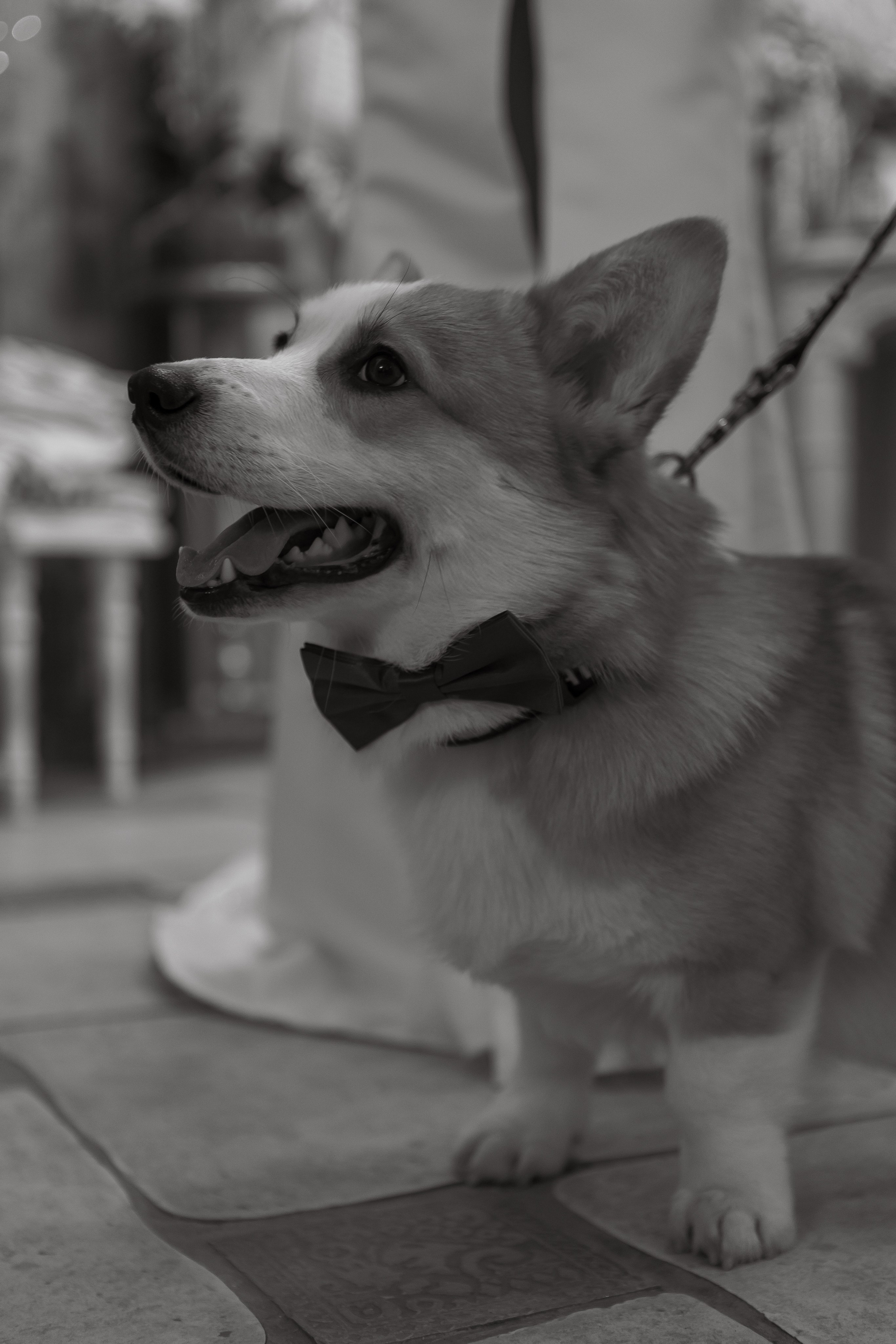 Роберт | Лейсан. Свадебный фотограф|Казань|Москва