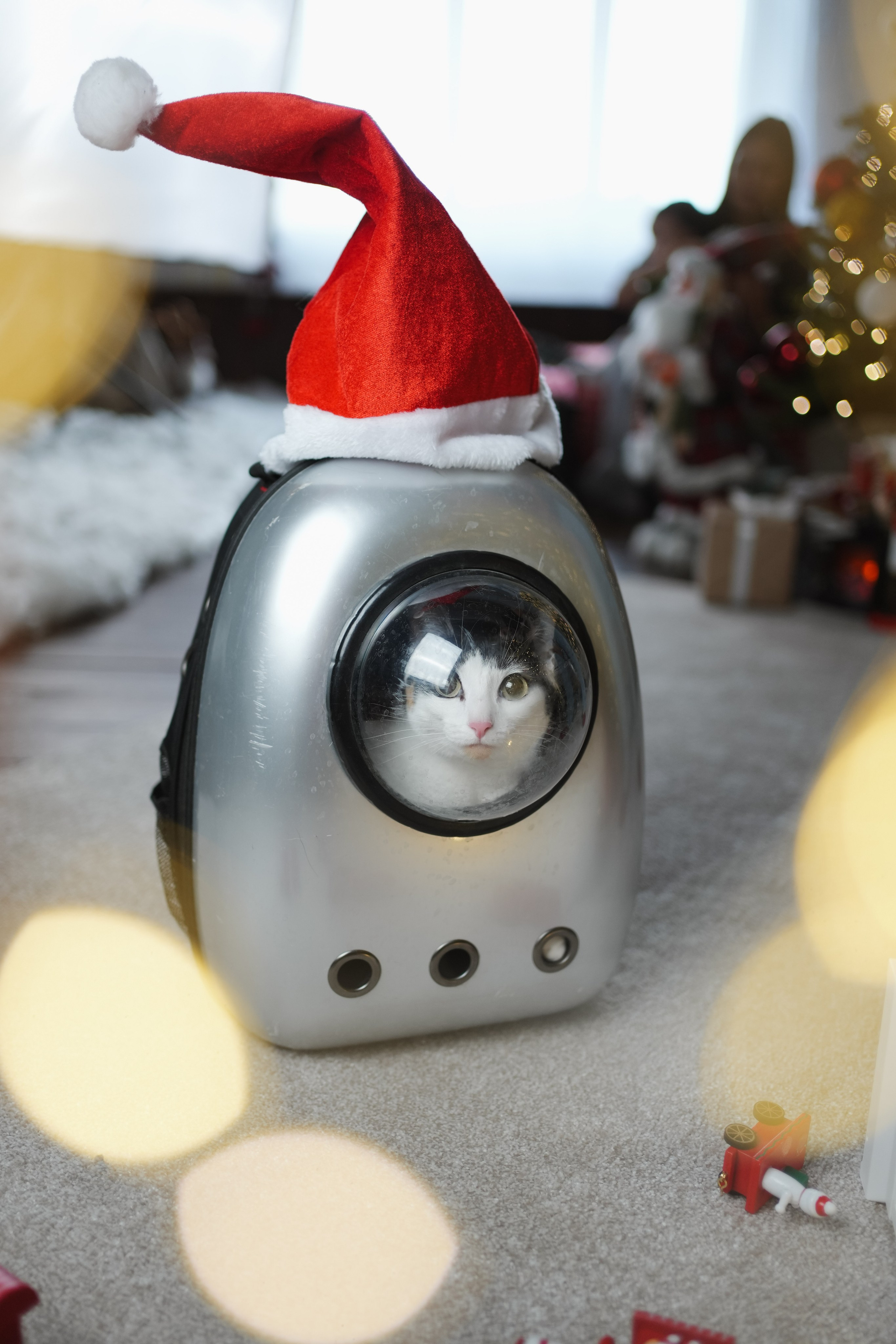 Лайфстайл. Видеограф и фотограф в Якутске Эвелина Попова