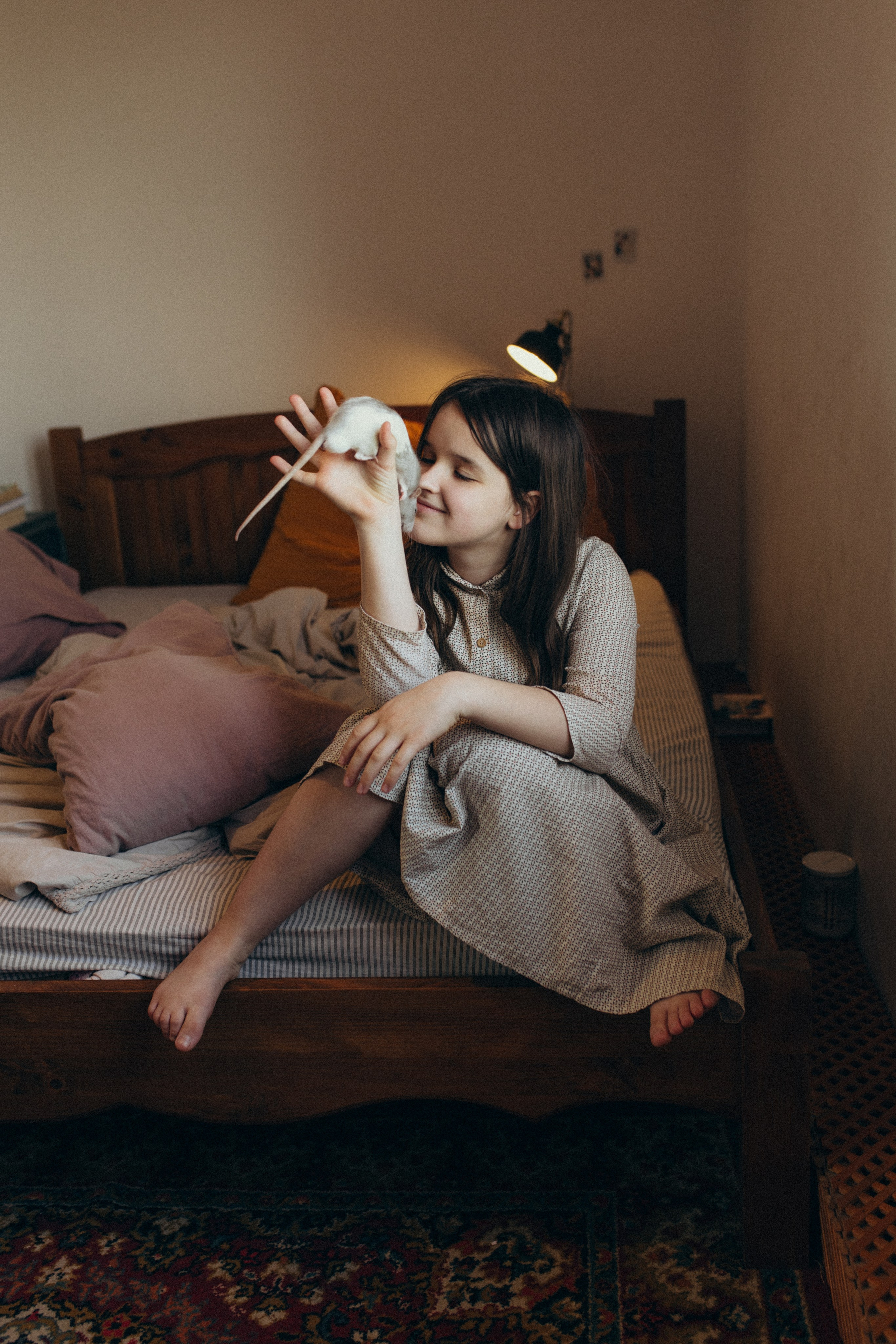 Домашняя история. Meryfotoidea