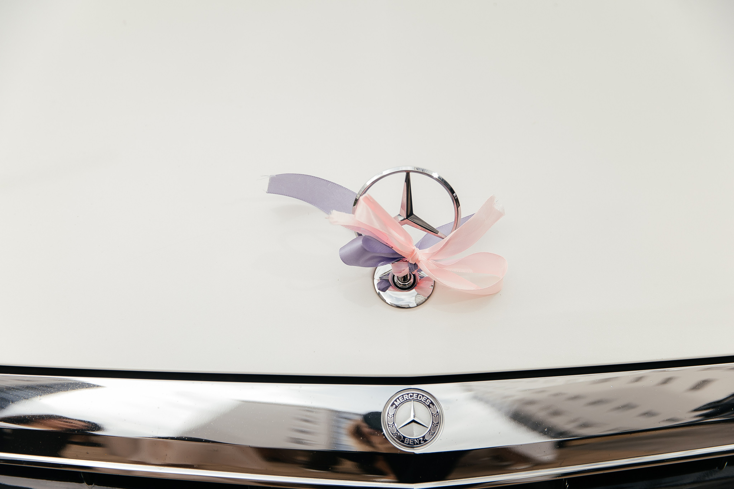 Сетрак и Марианна. Фотограф в Красноярске Надежда Воскресенская