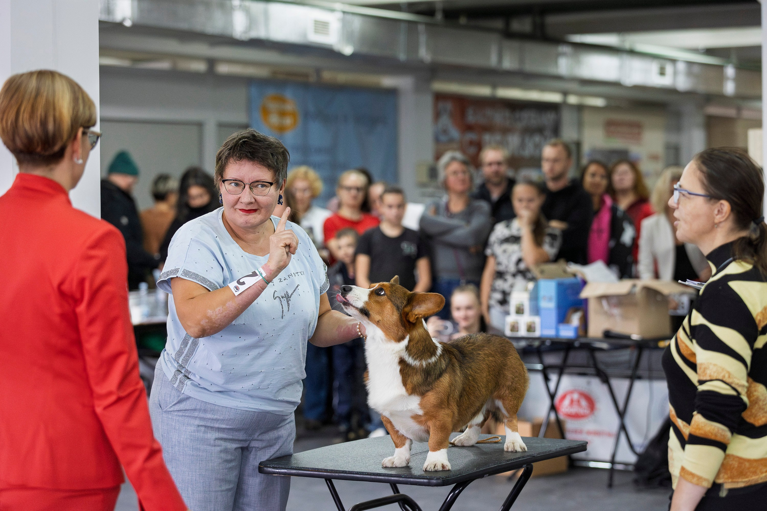 Националка ВКК 2024. Фотограф анималист, семейный фотограф, фотограф собак Комратова Мария. г. Москва