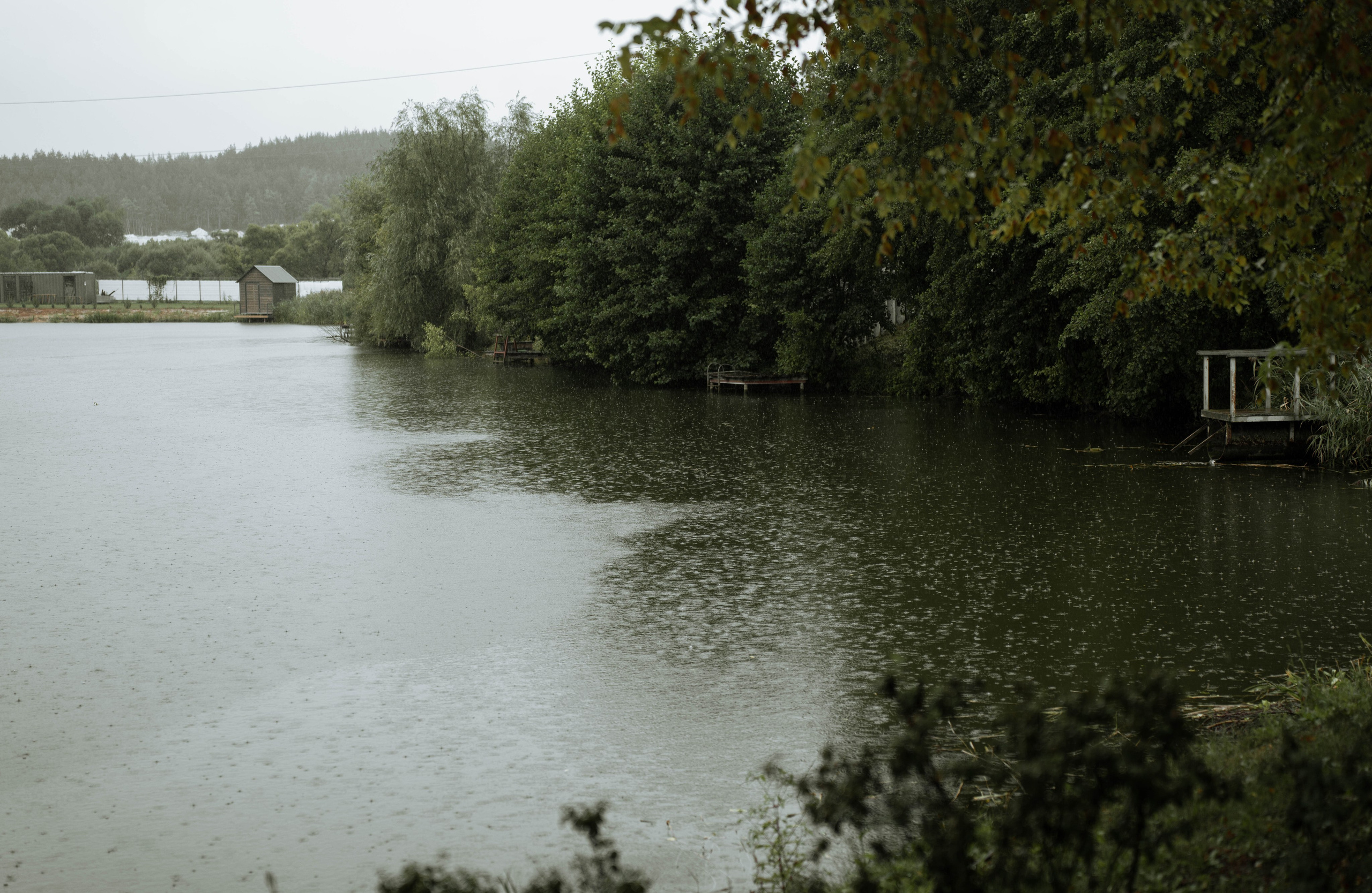 Wedding. Главная