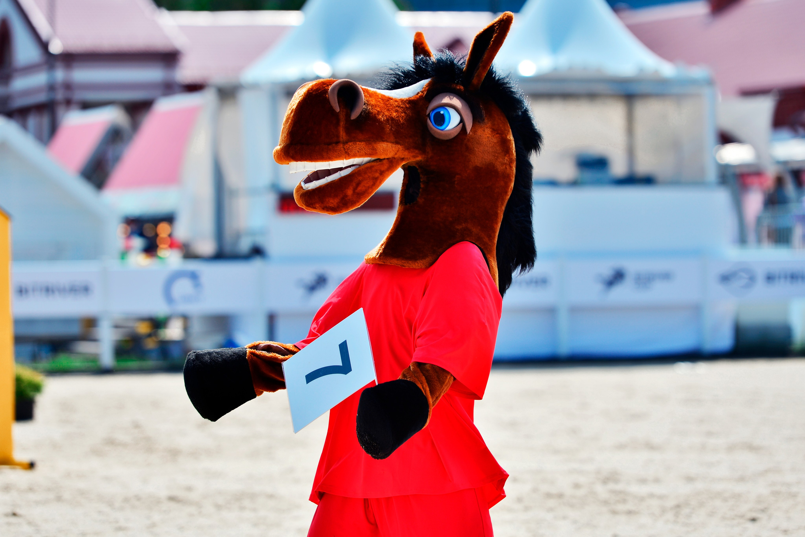 Репортаж Bitriver. Конный фотограф Alesya Safe