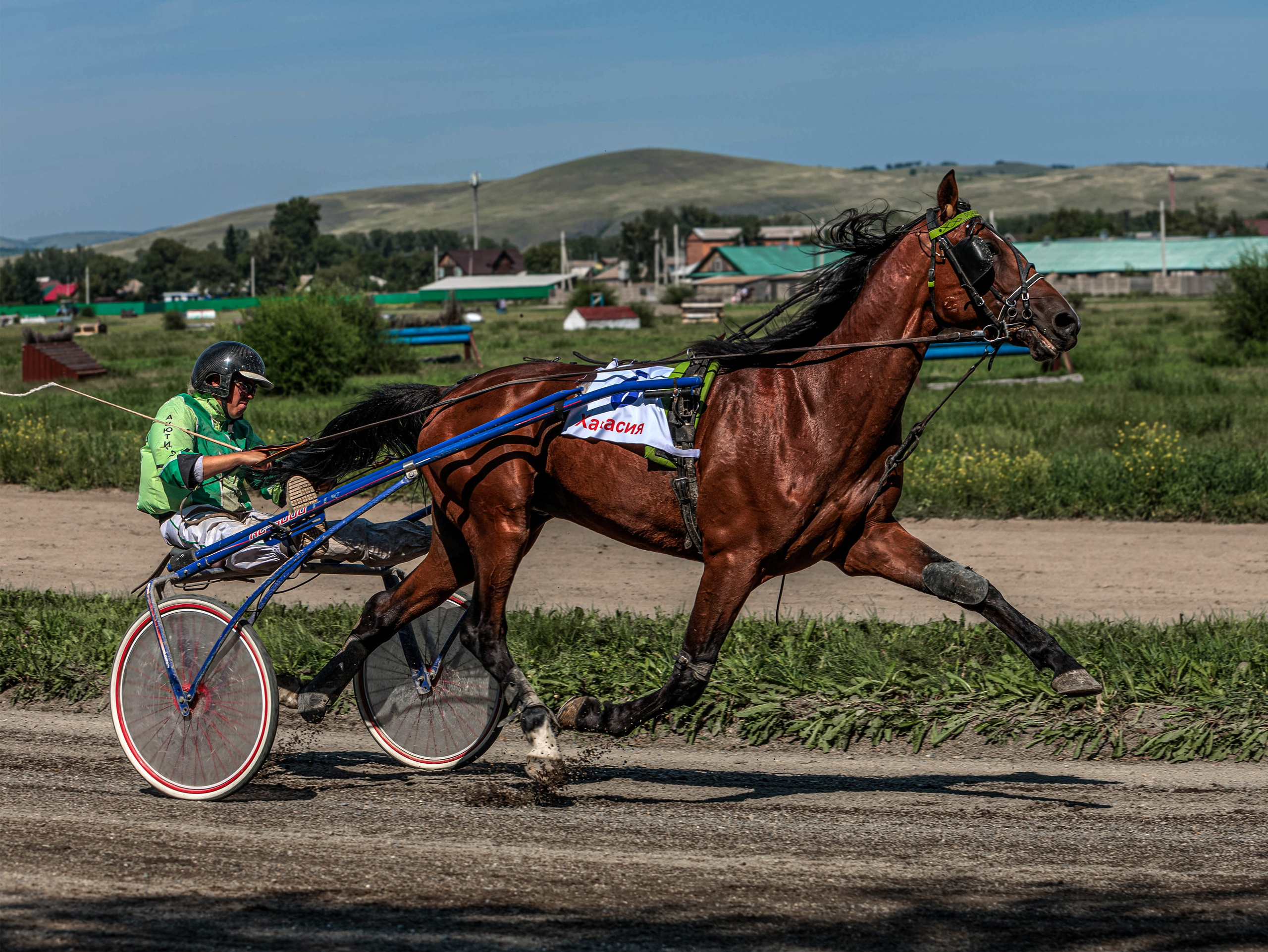 Зарисовки Абаканский ипподром 2025. Конный фотограф в Красноярске — Любовь Похабова