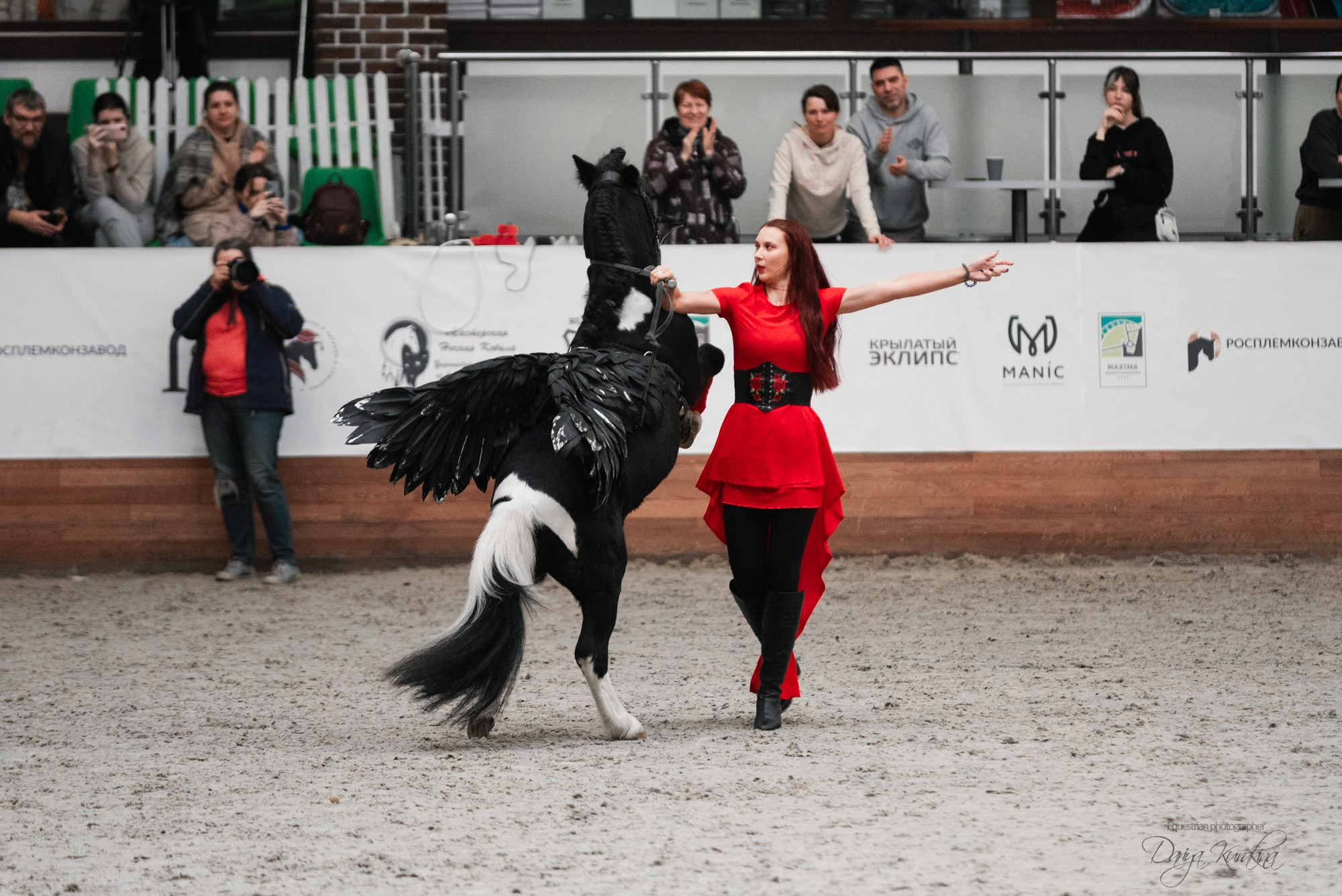 8-я международная выставка Конная Россия. Конный фотограф Куракина Дарья • Фотосессии с лошадьми