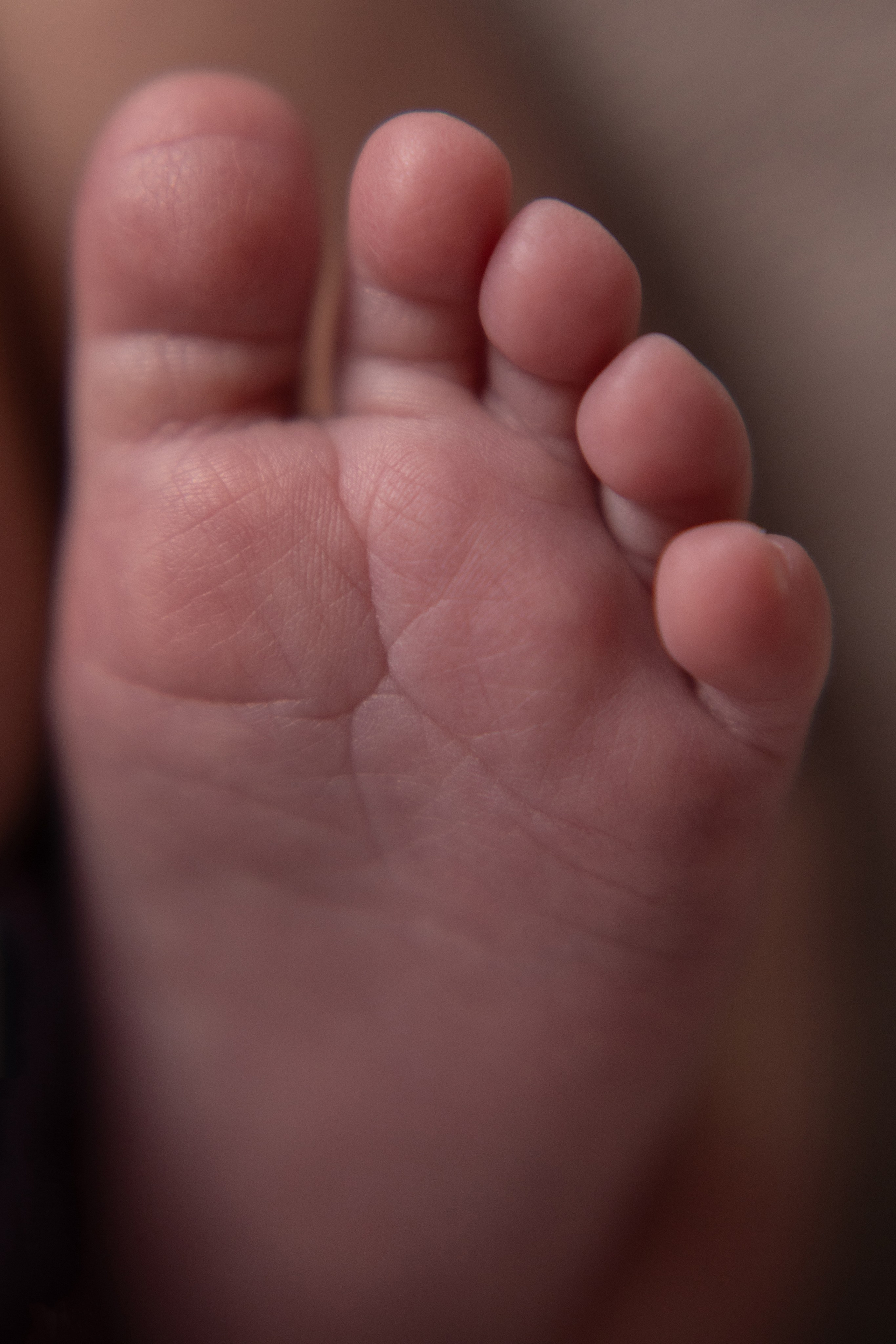 Портфолио. Фотограф новорожденных в Красноярске Марина Храмченкова