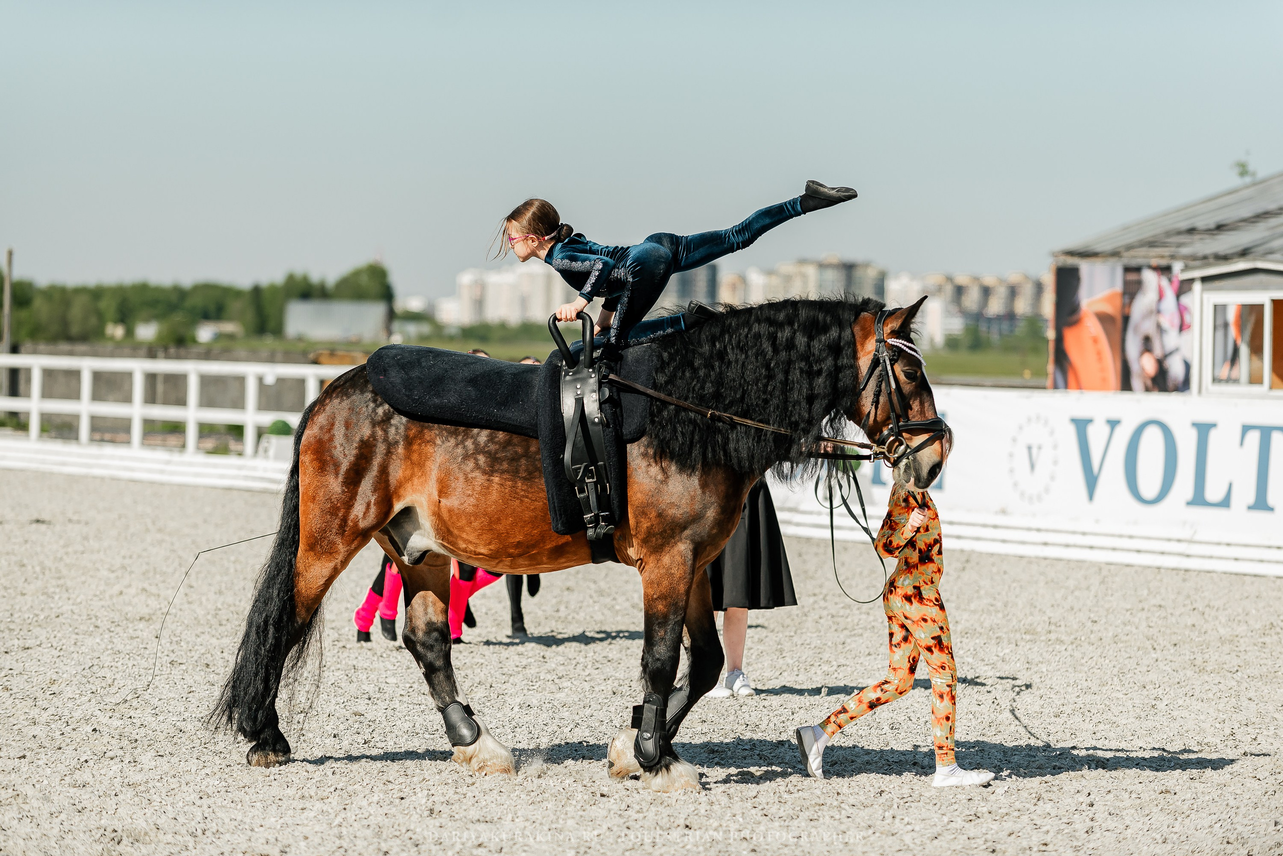 РЕПОРТАЖ МКК ВОЛЬТ «LA TULIPS». Конный фотограф Куракина Дарья • Фотосессии с лошадьми