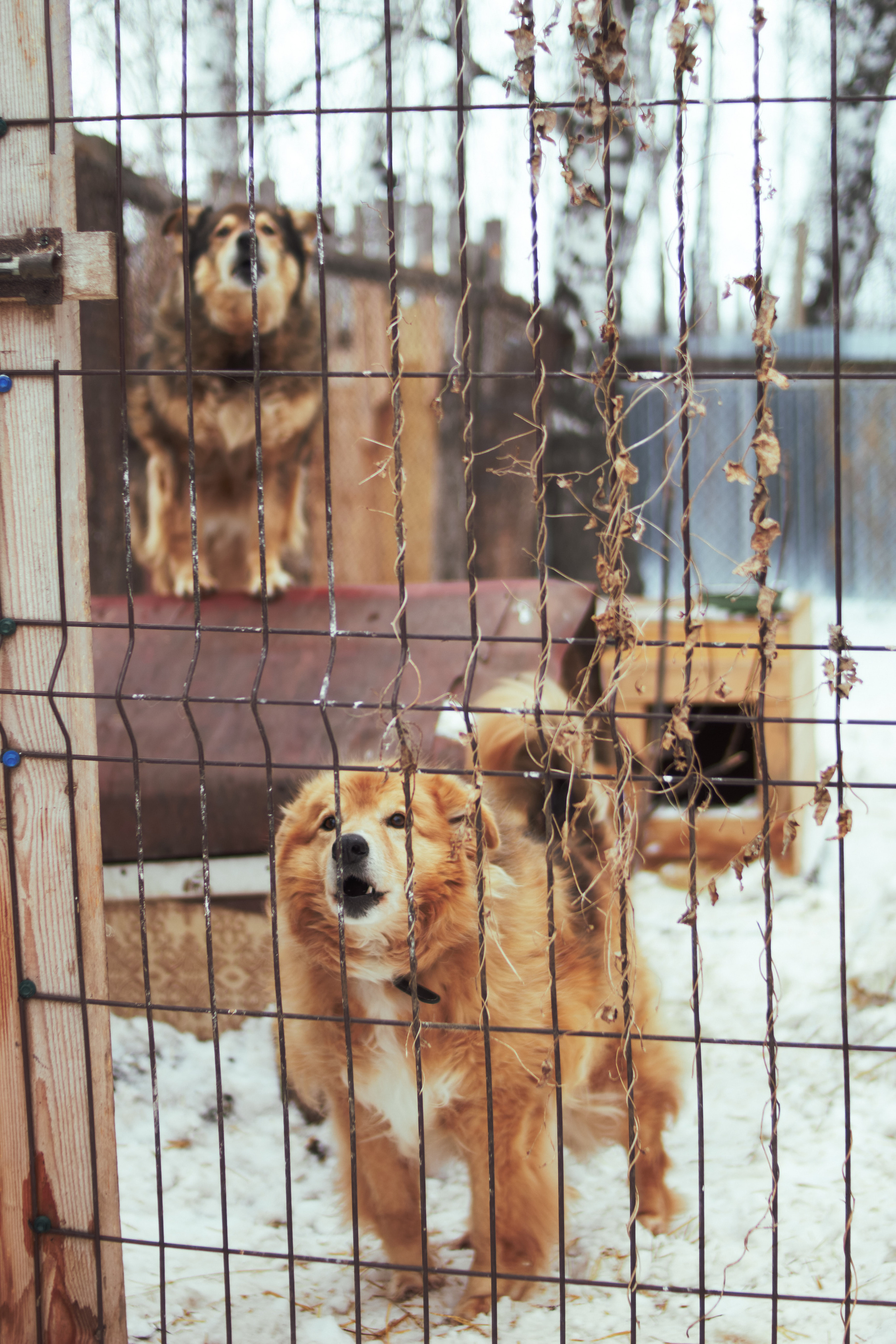 Репортажная фотосъемка Фотограф: Некрасов Александр