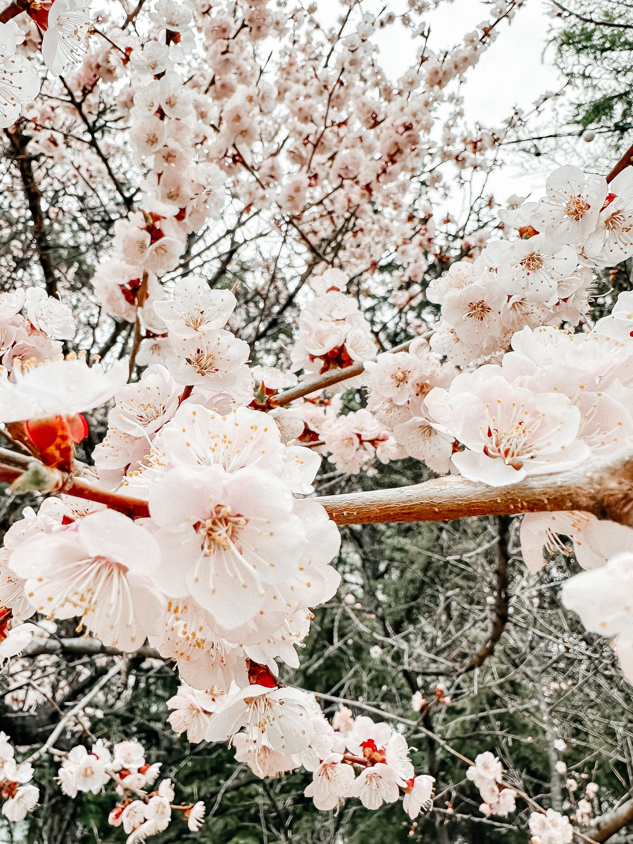 Природа. Команда фотографов Кристины Ивановой