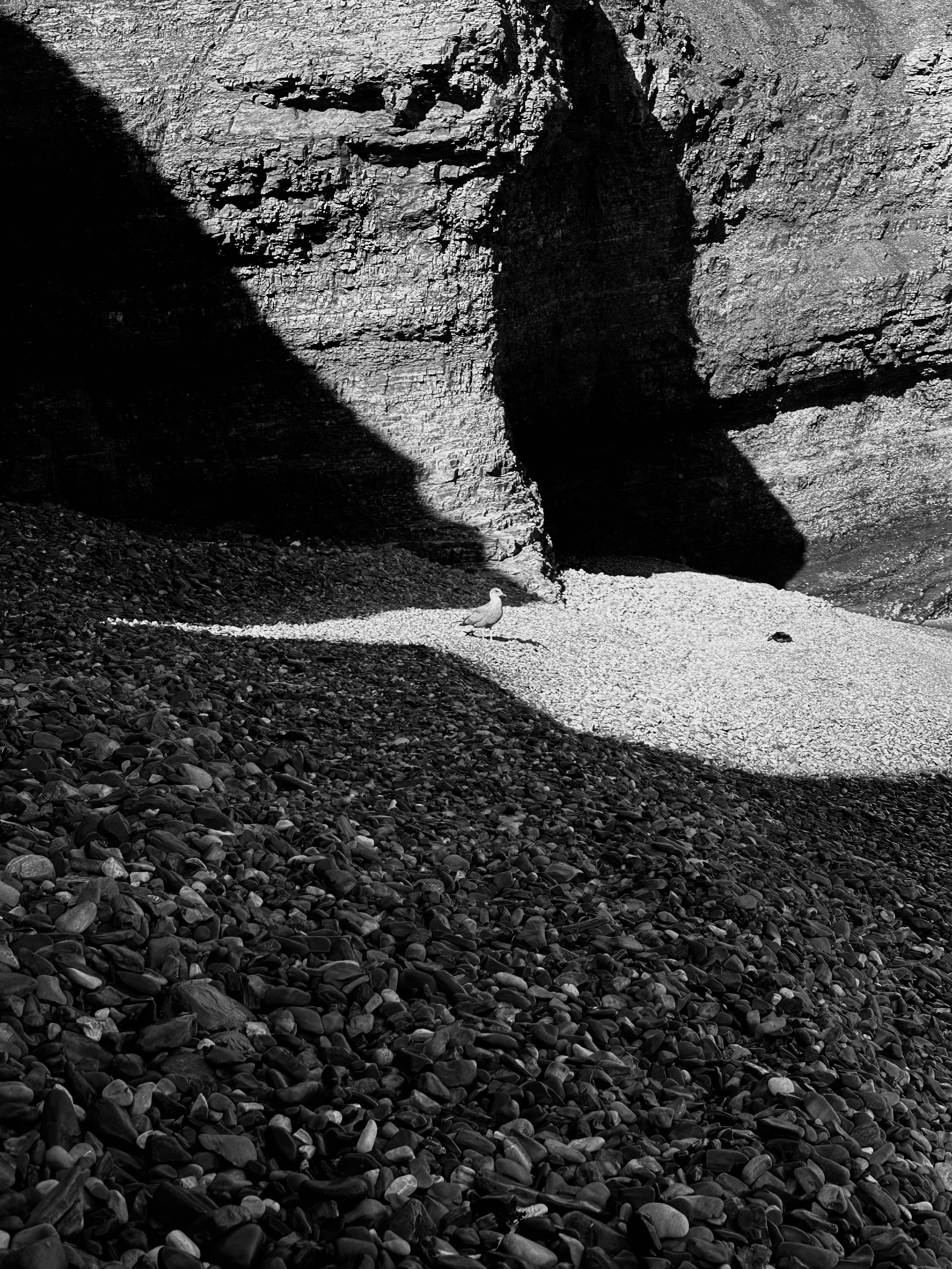 EXHIBITION. Репортажный и интерьерный фотограф, фотохудожник