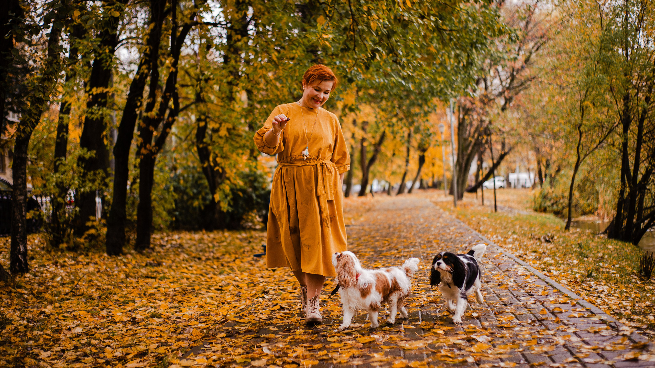 Жанна и кавалеры. Фотограф-анималист Мария Баркевич | Москва