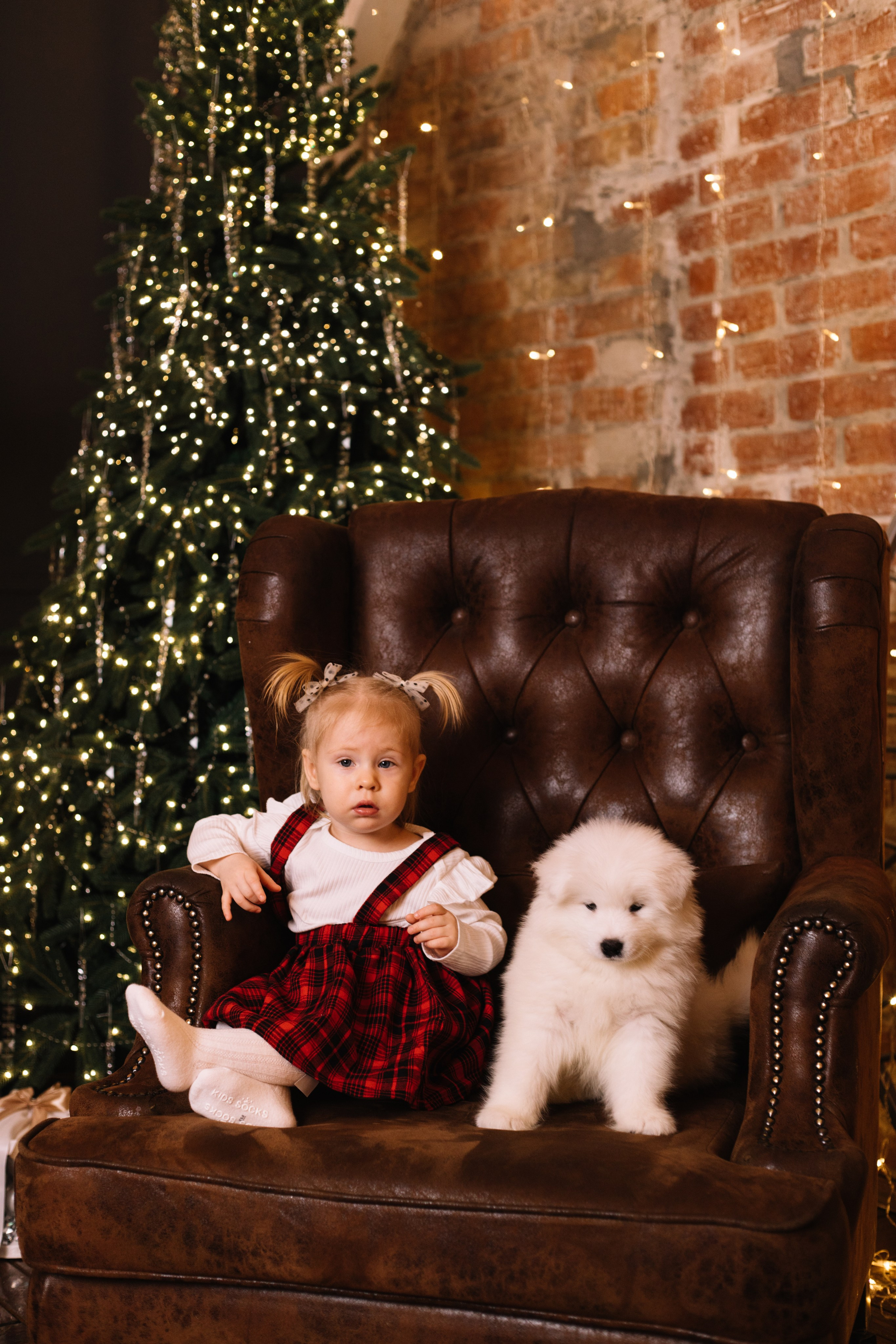 Катюша, Тарас, Ариша. Фотограф Красноярск Алина Степанчишина