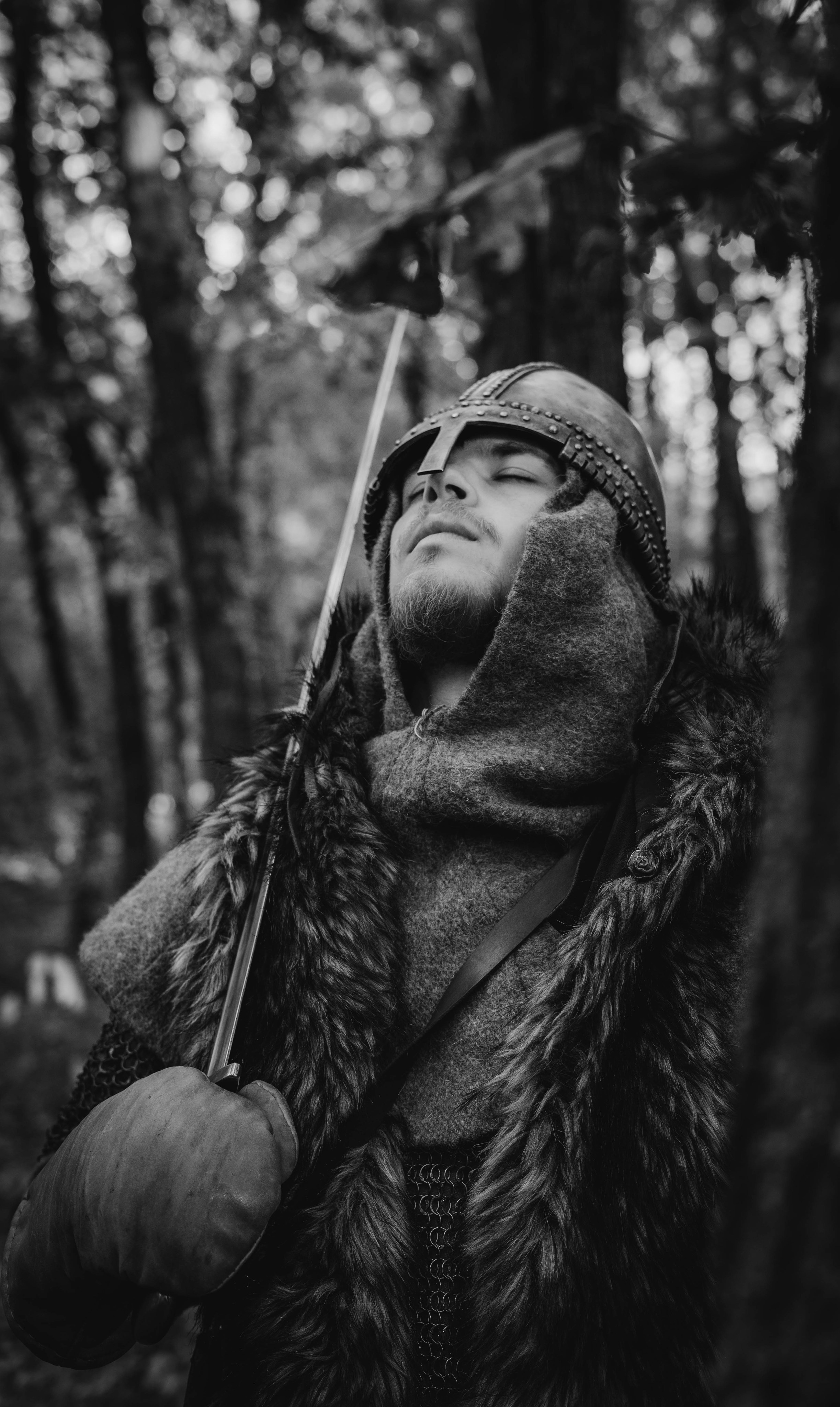 Викинг. Ab extra