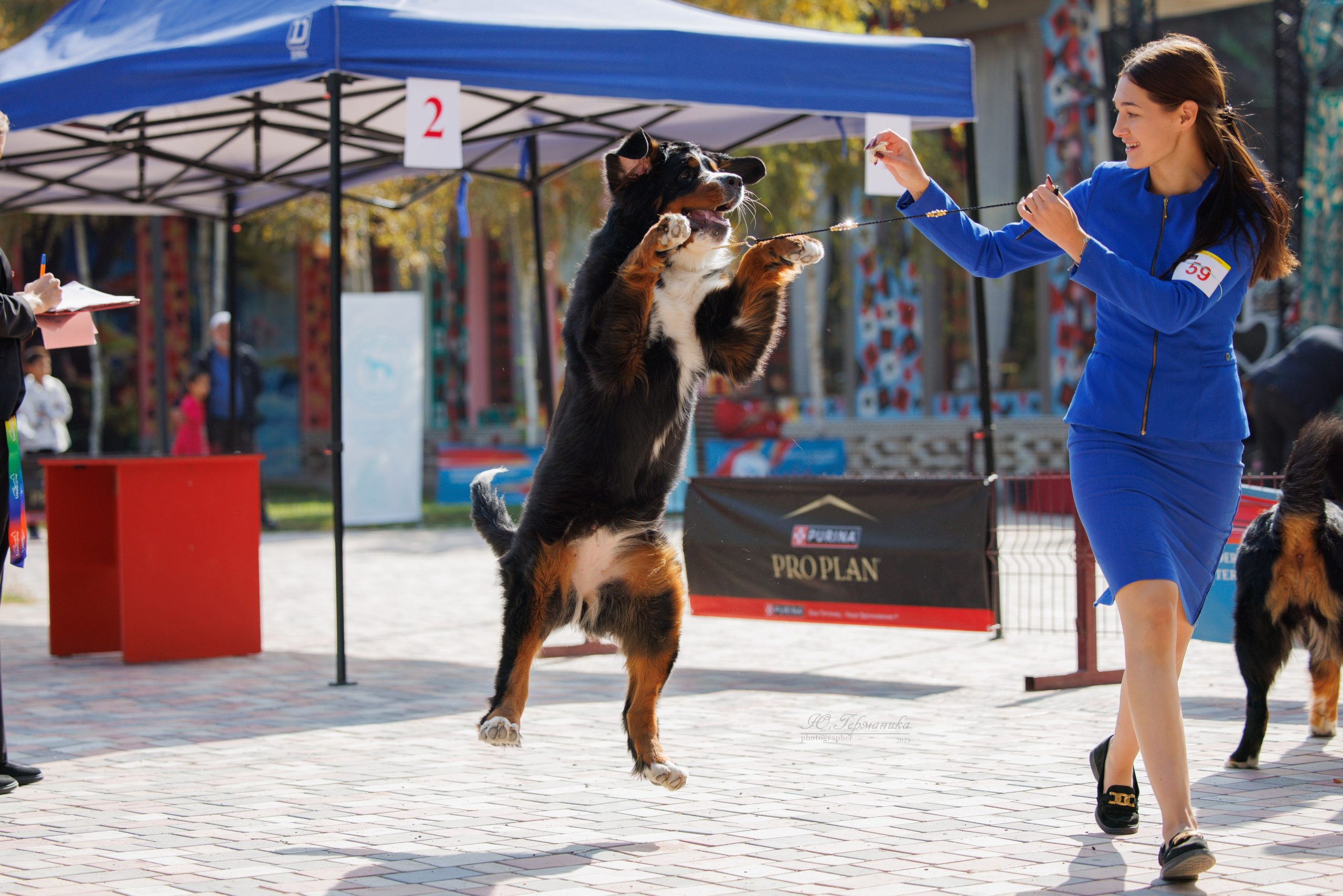 Ташкент 3хCACIB 3-5.10.2025. Фотограф-анималист Юлия Германика