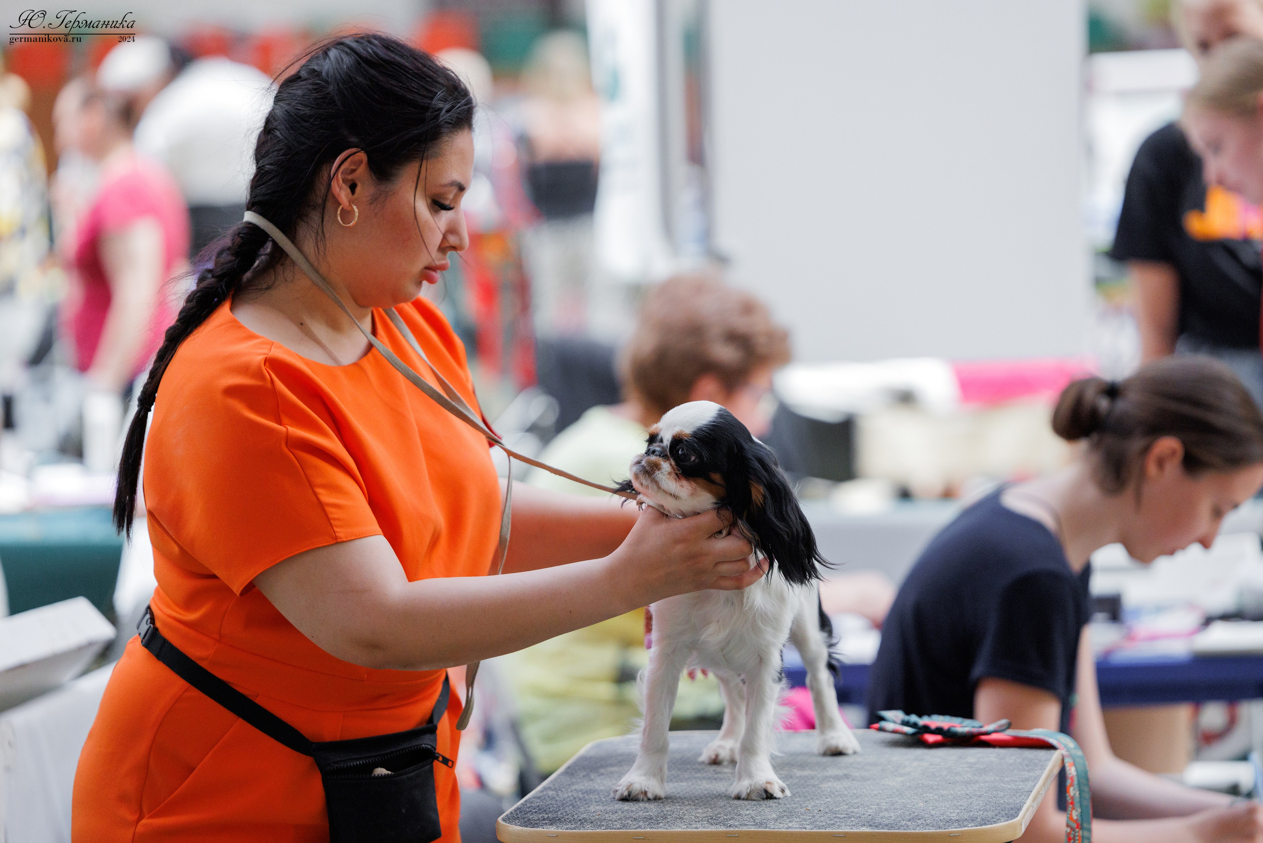 РОССИЯ 8-9.06.2024. Фотограф-анималист Юлия Германика