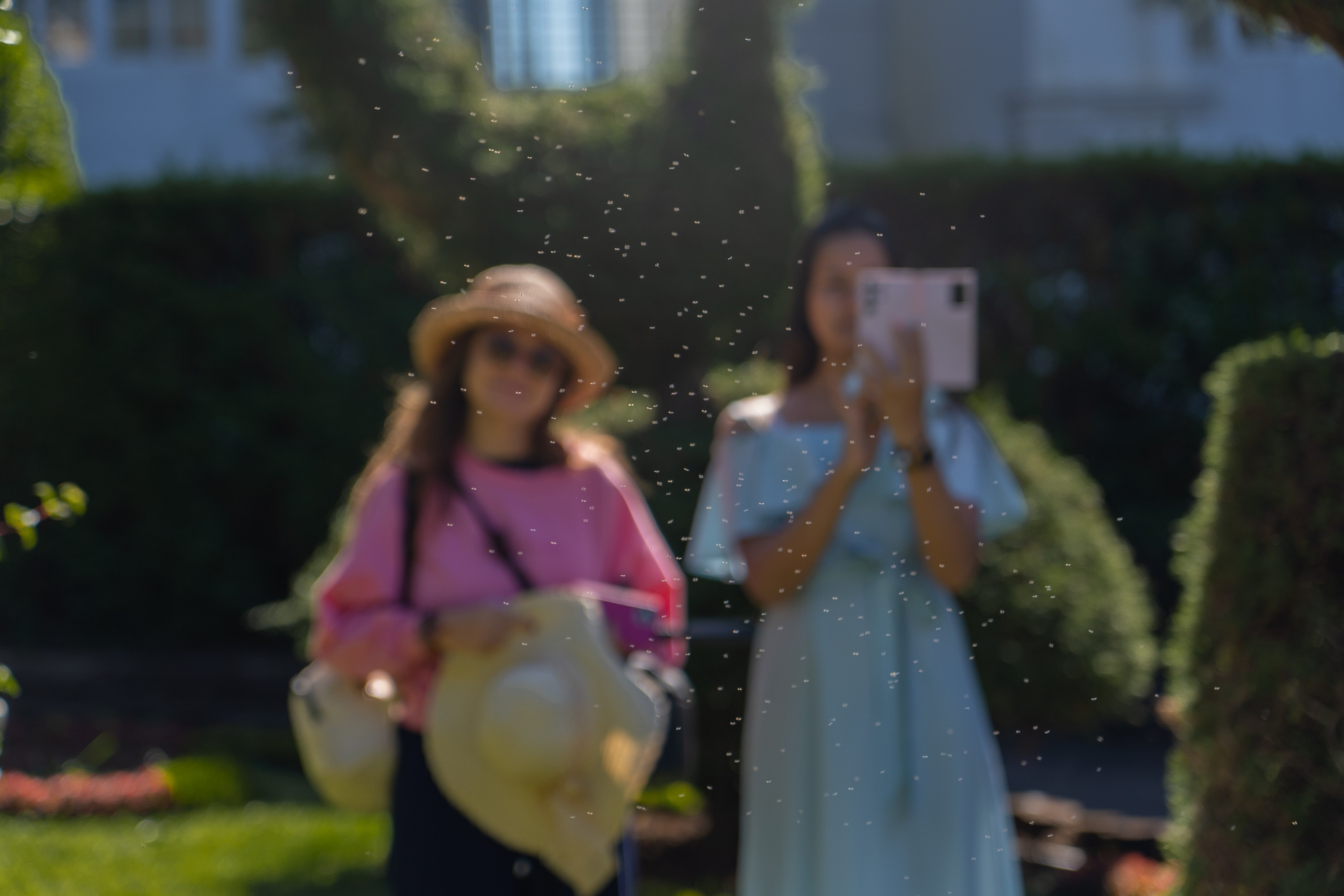 Promo content shooting for Ceylon Forward Tours