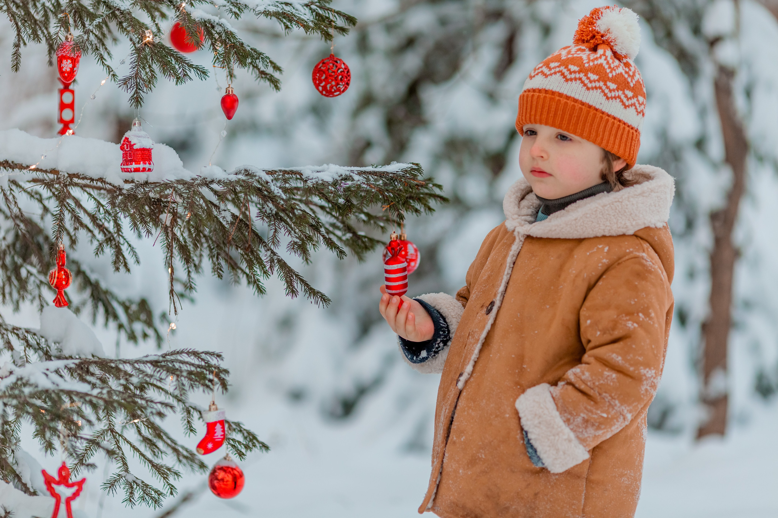 Зимний лес. Семейный и детский фотограф в Москве Алёна Кораблина