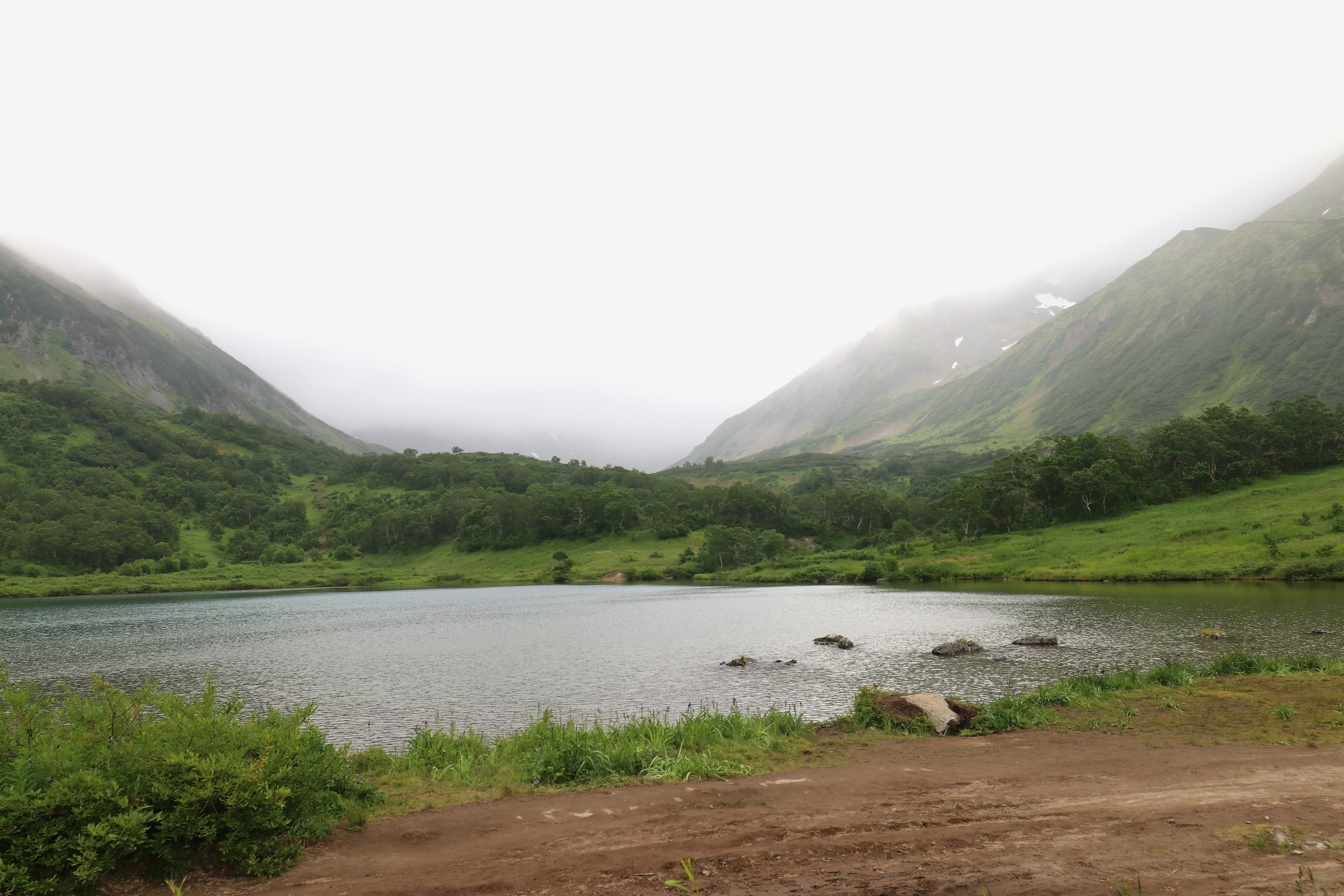 Камчатка и о. Парамушир. Июль 2024. Путешественник-фотограф из Санкт-Петербурга Татьяна Свистулина