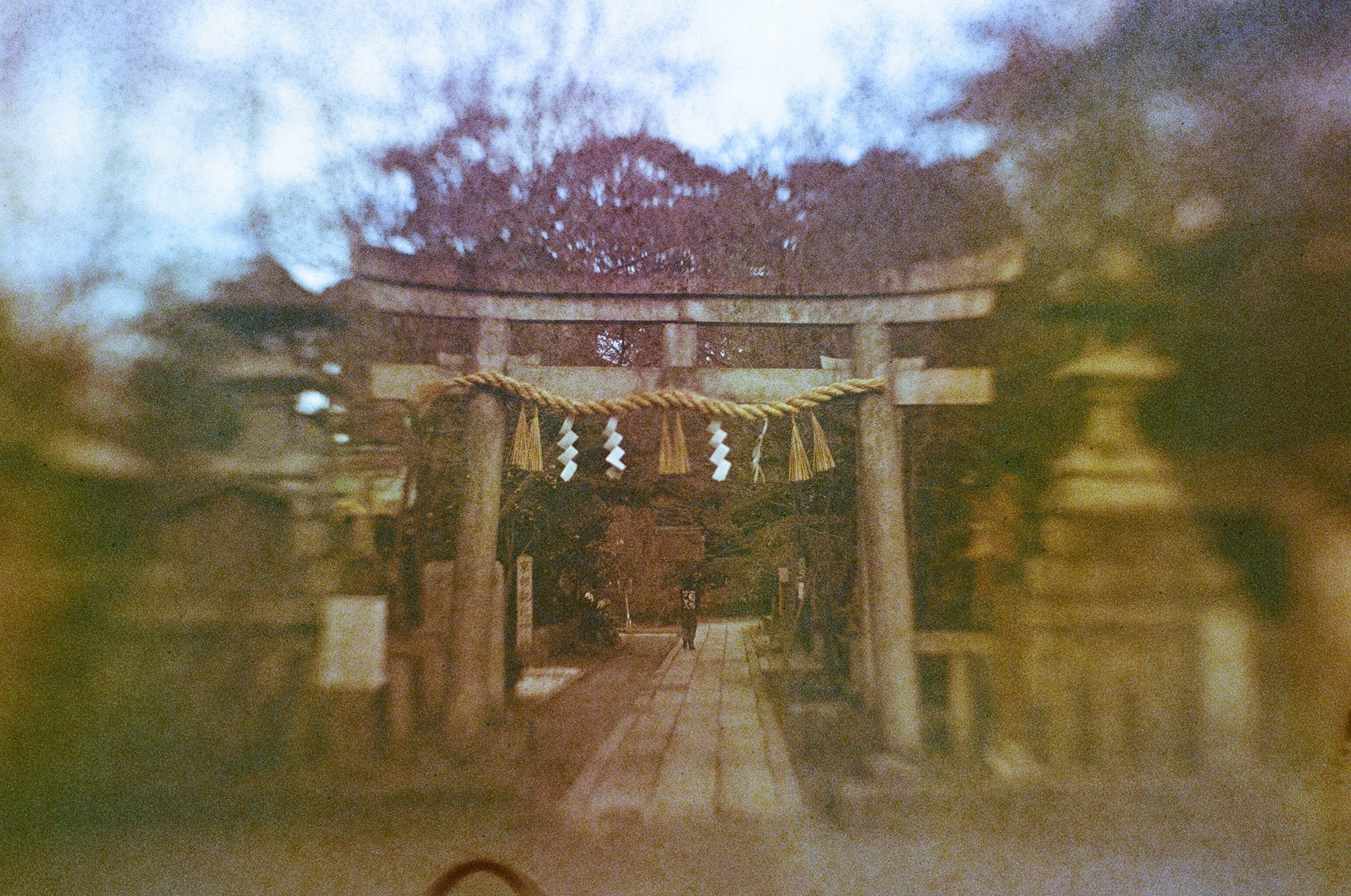 JAPAN FILM. International visual artist