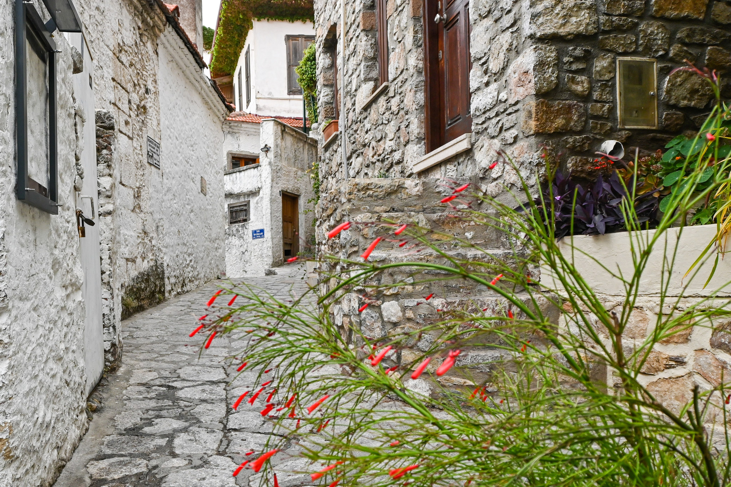 Тревел фото